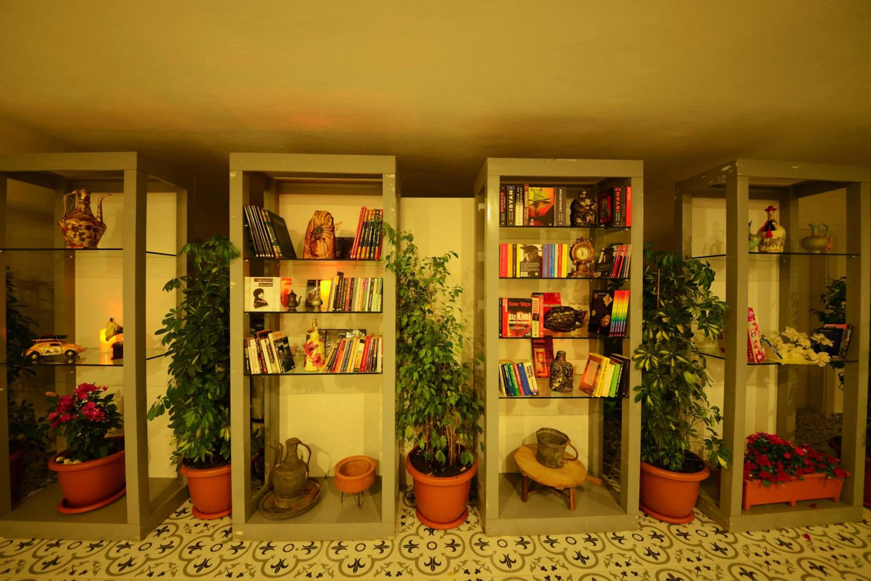 Library in Neruda Hotel