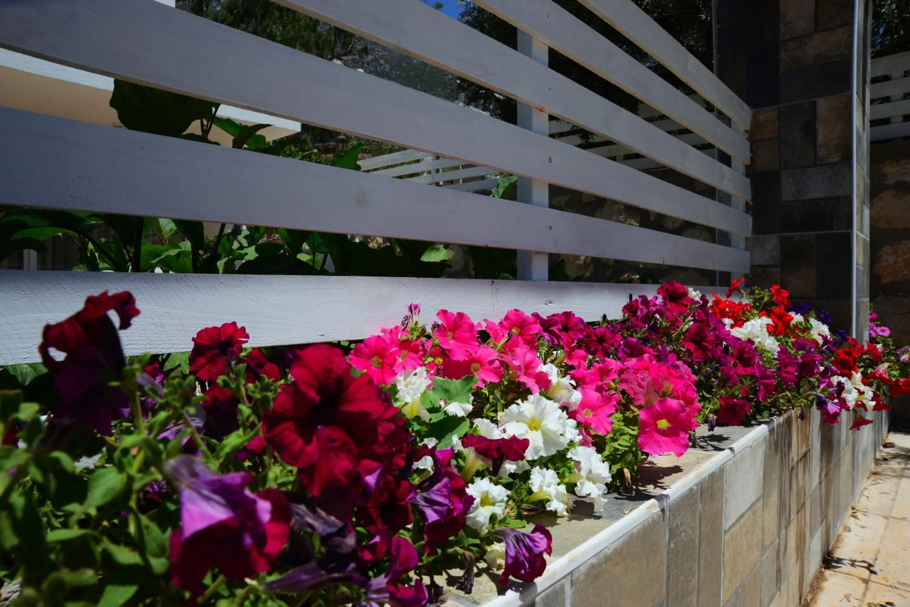 Spring in Neruda Hotel