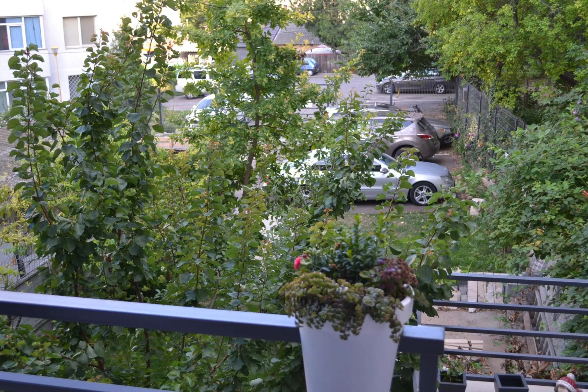 Other in City Park Residence