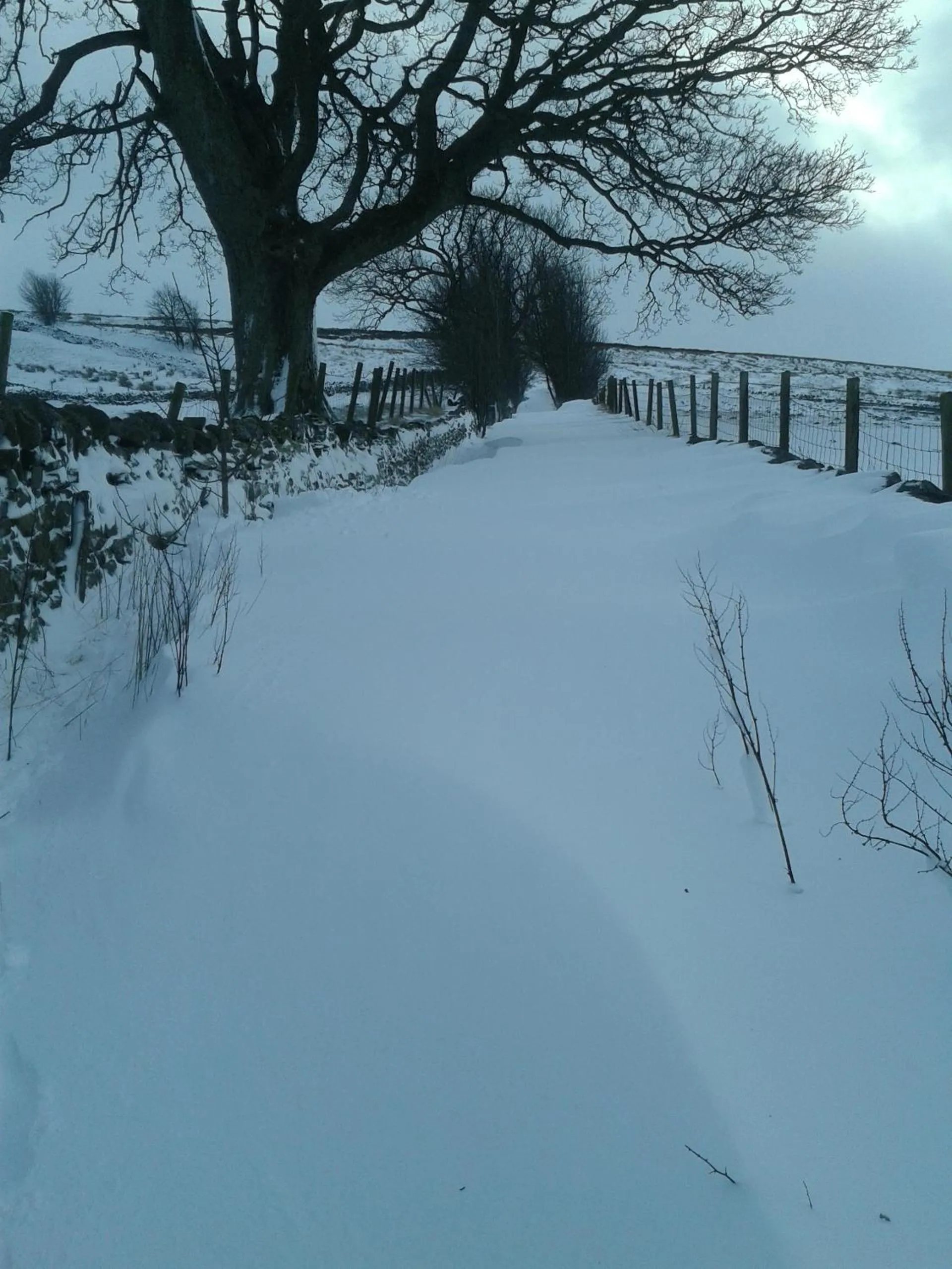 Natural landscape in Old Coach House At The Golden Lion