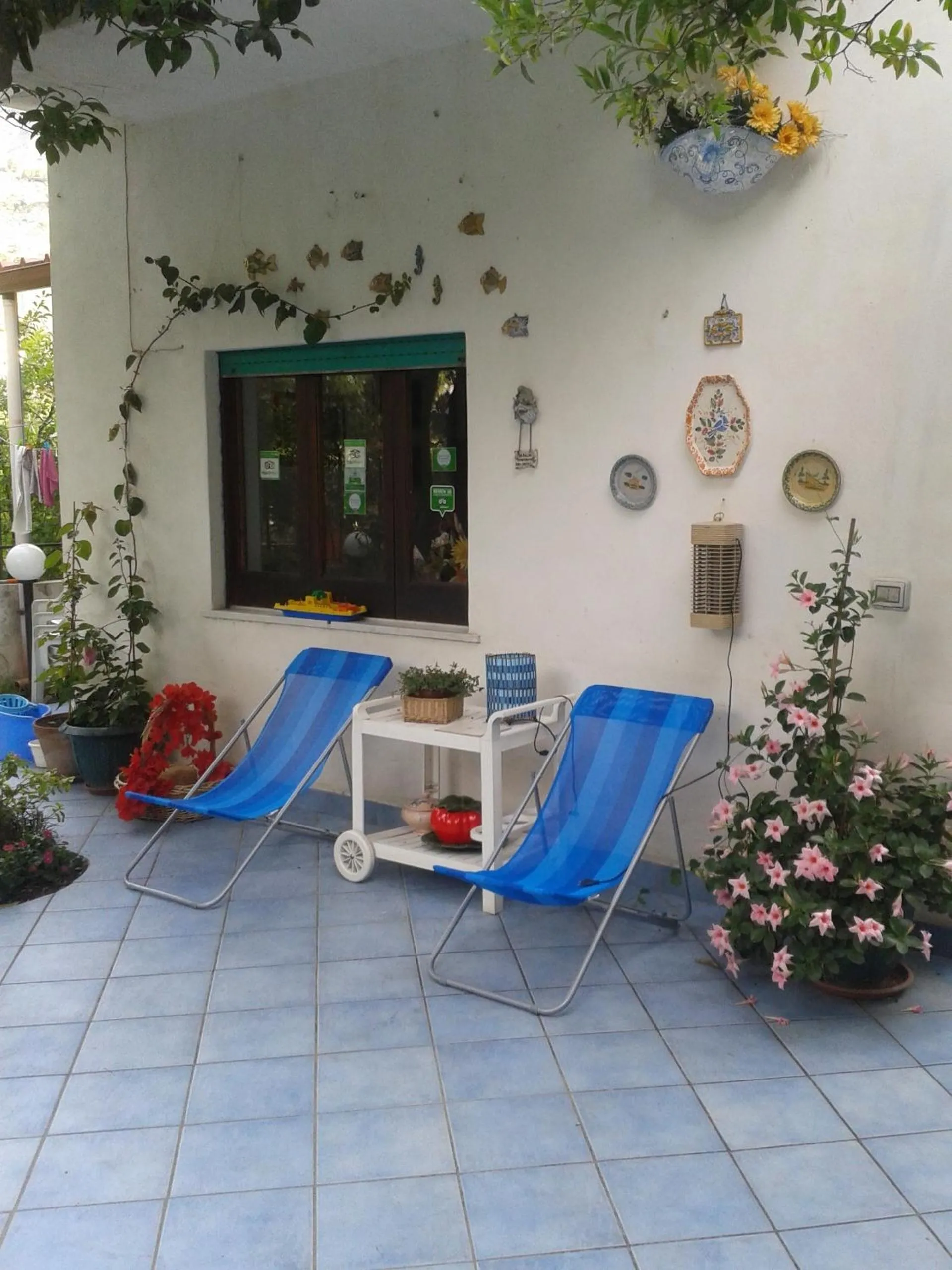 Garden in B&B Albatros