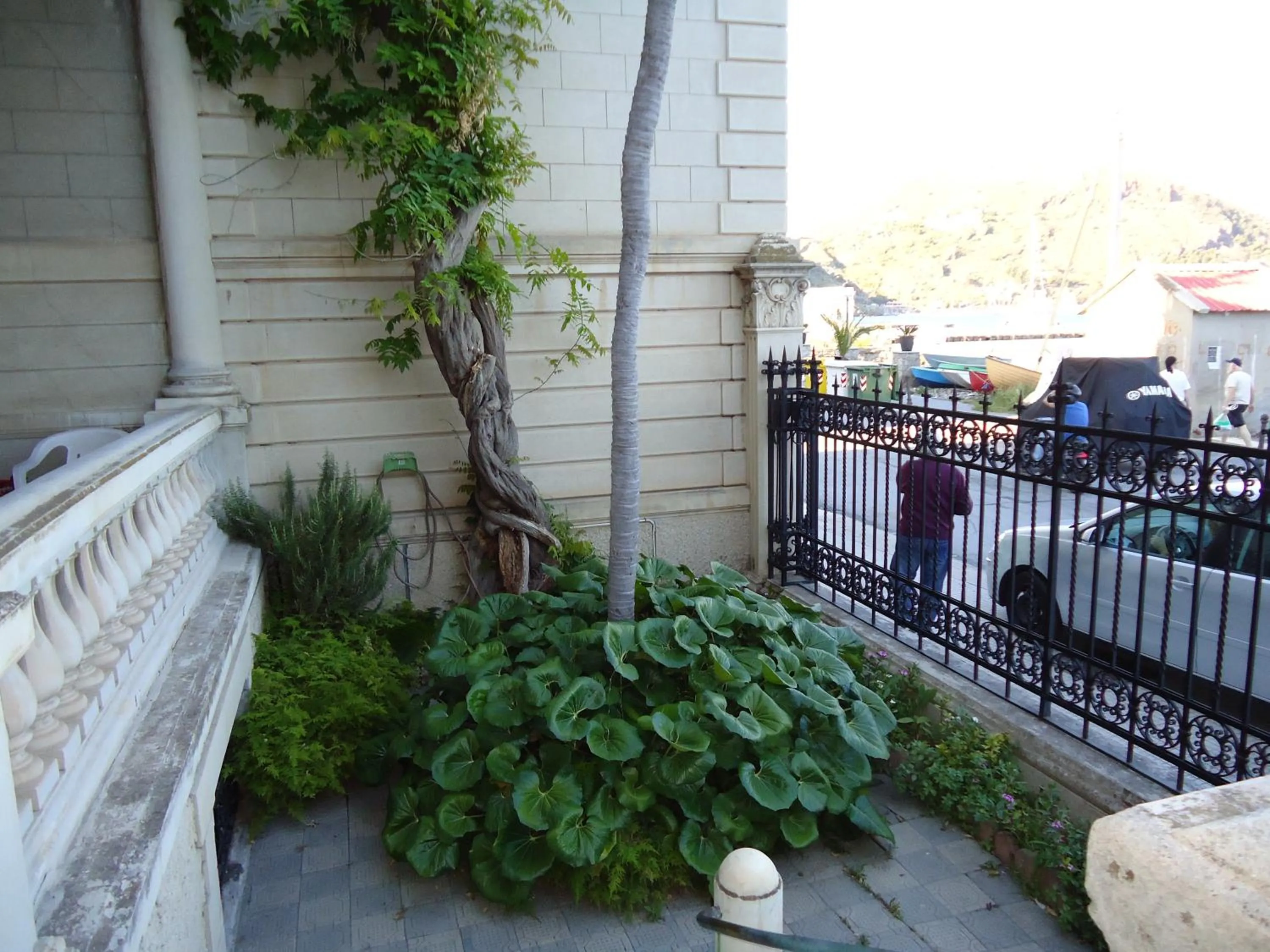 Property building in B&B Albatros