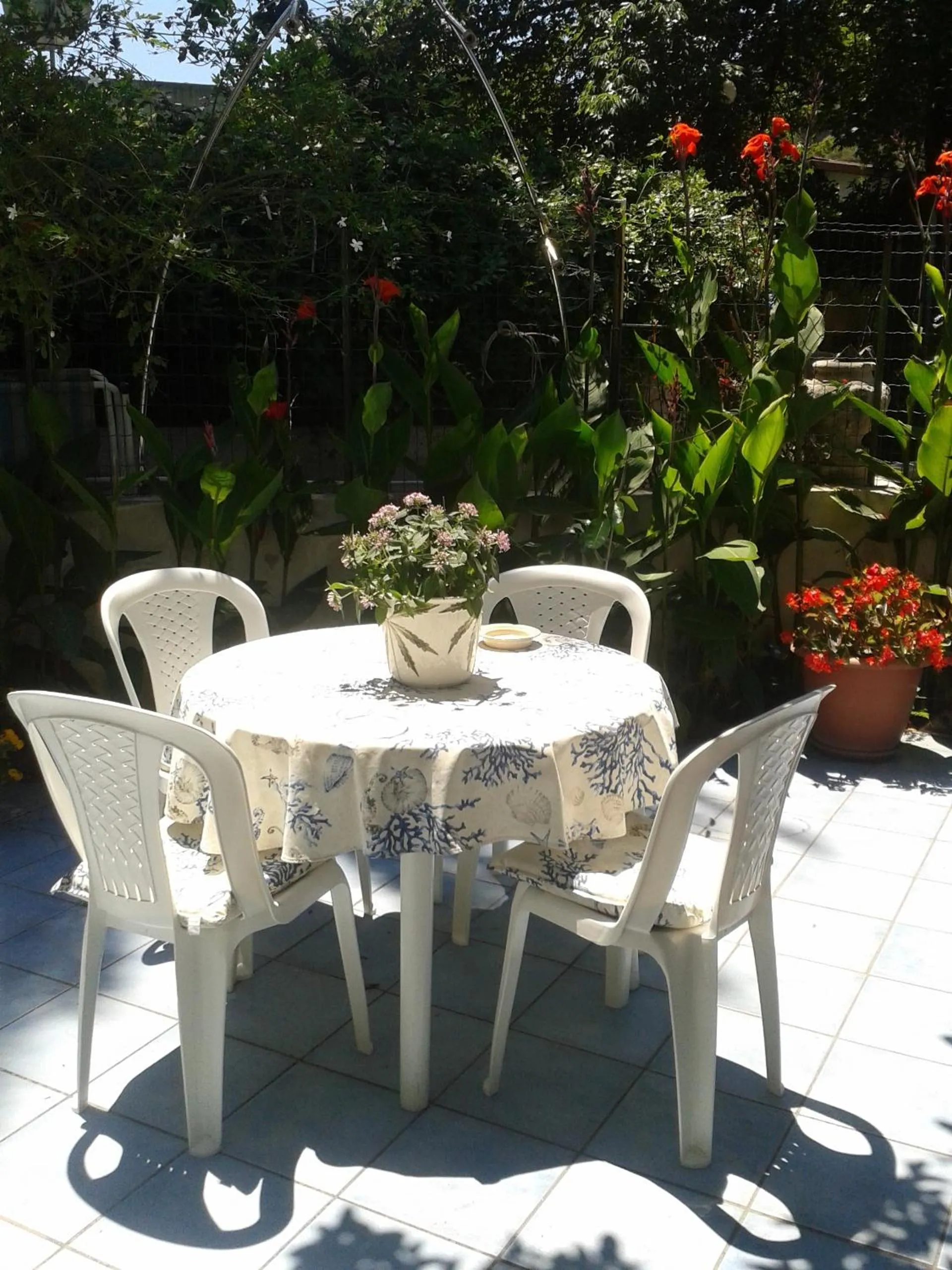 Garden in B&B Albatros