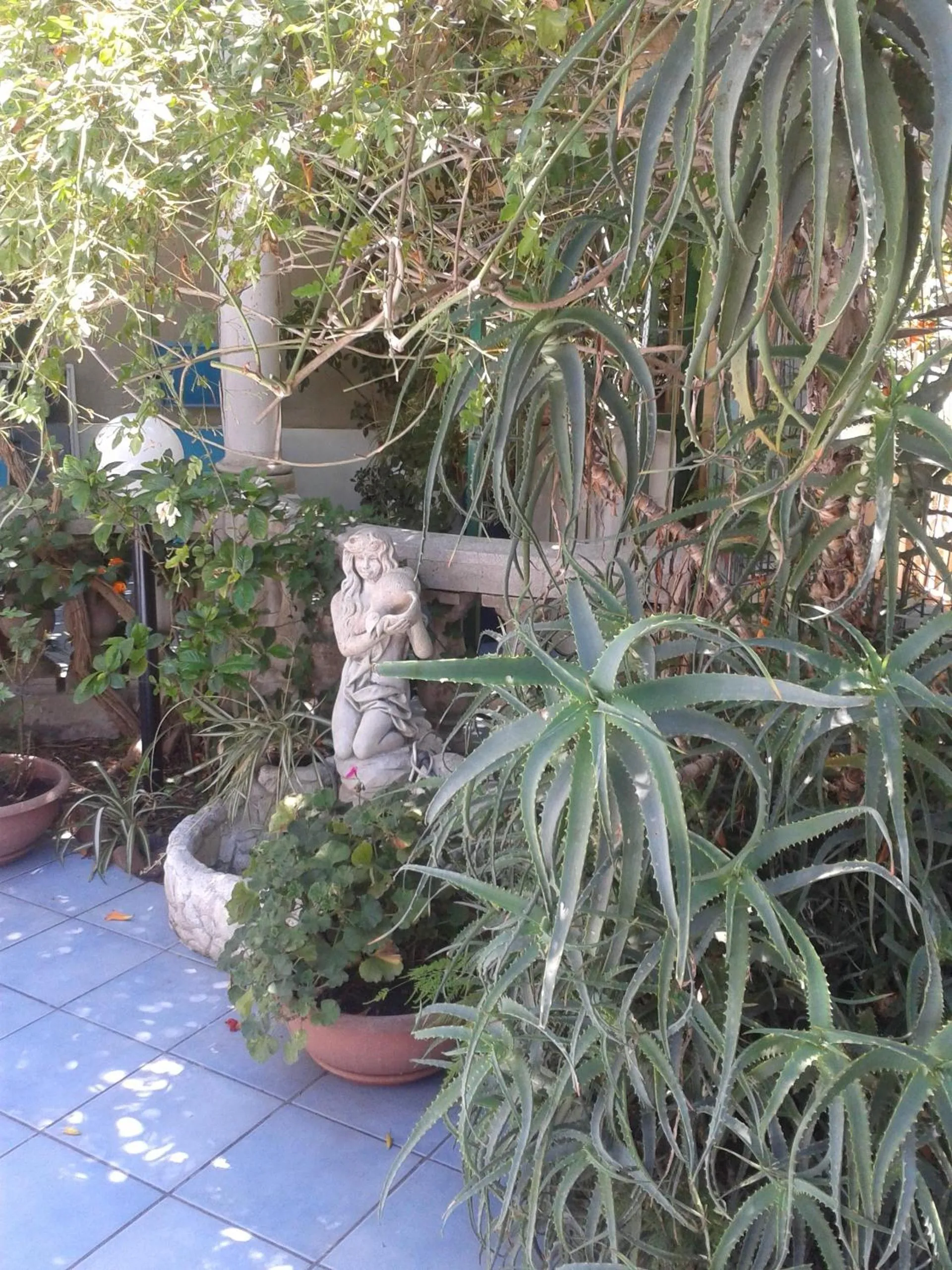 Garden in B&B Albatros