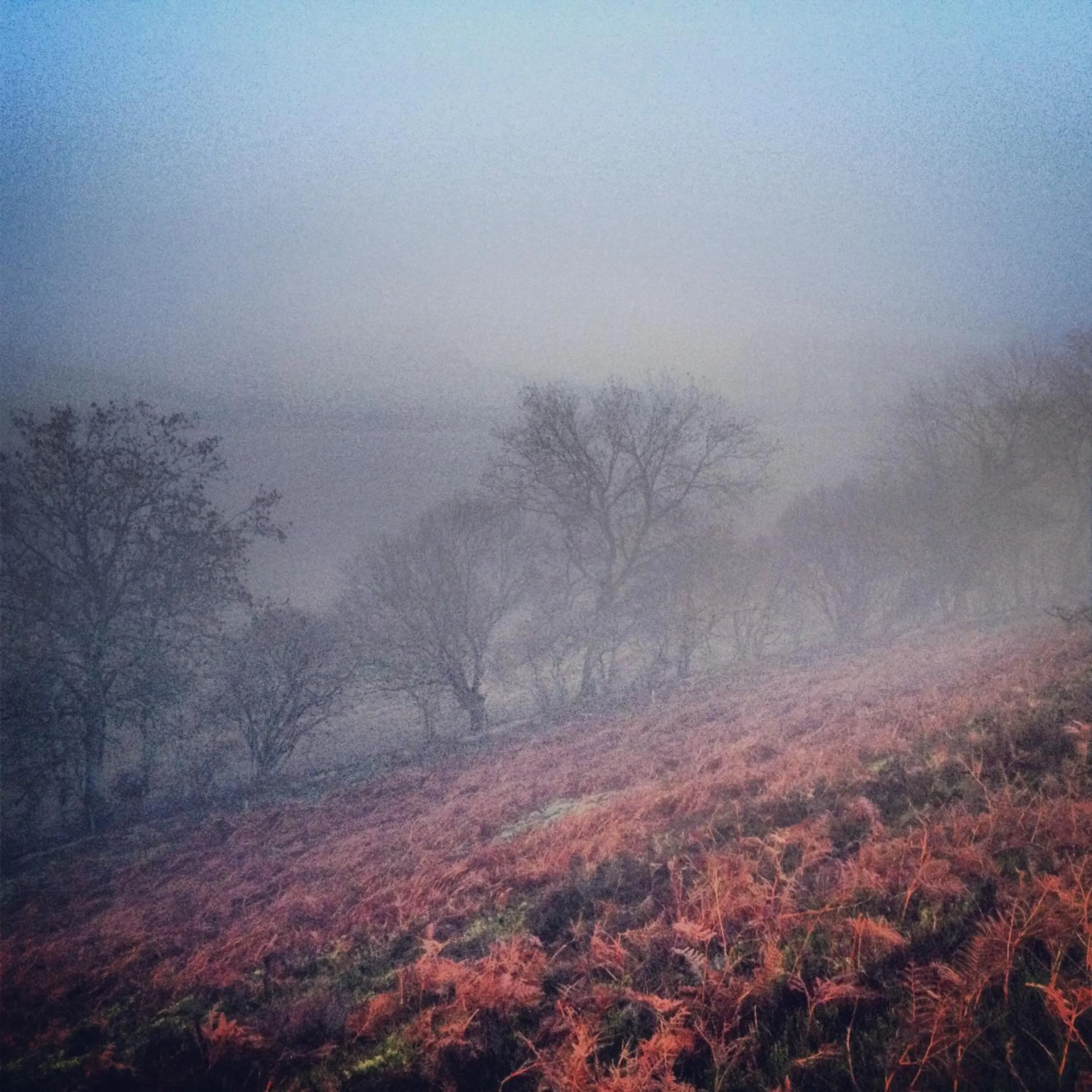 Natural landscape in Barmoors