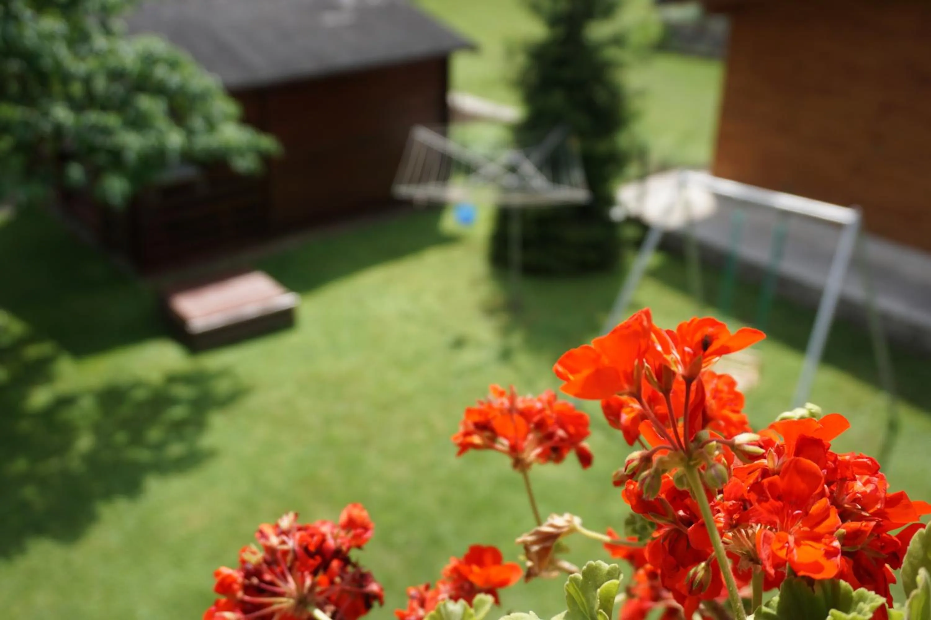 Natural landscape in Apartments Kravanja