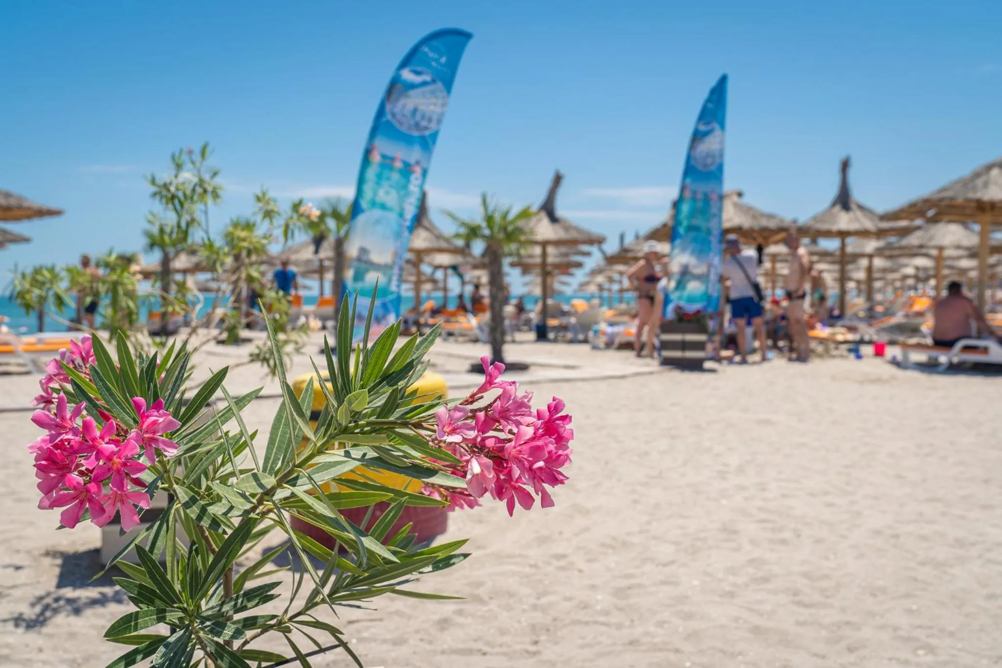 Beach in Mera Resort
