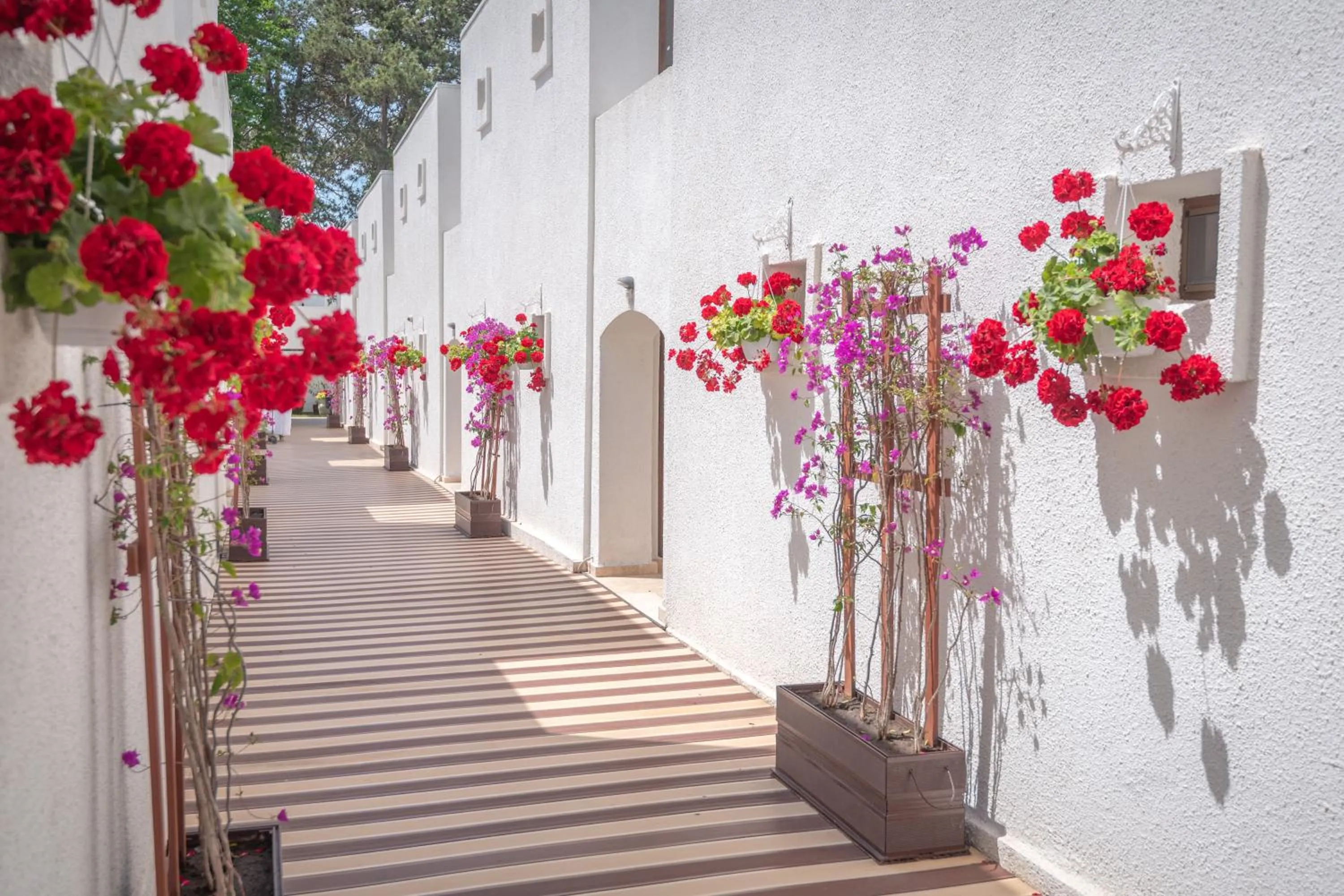 Property building in Mera Resort