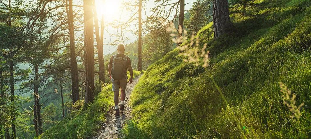 Hiking in The Smoke House Lodge