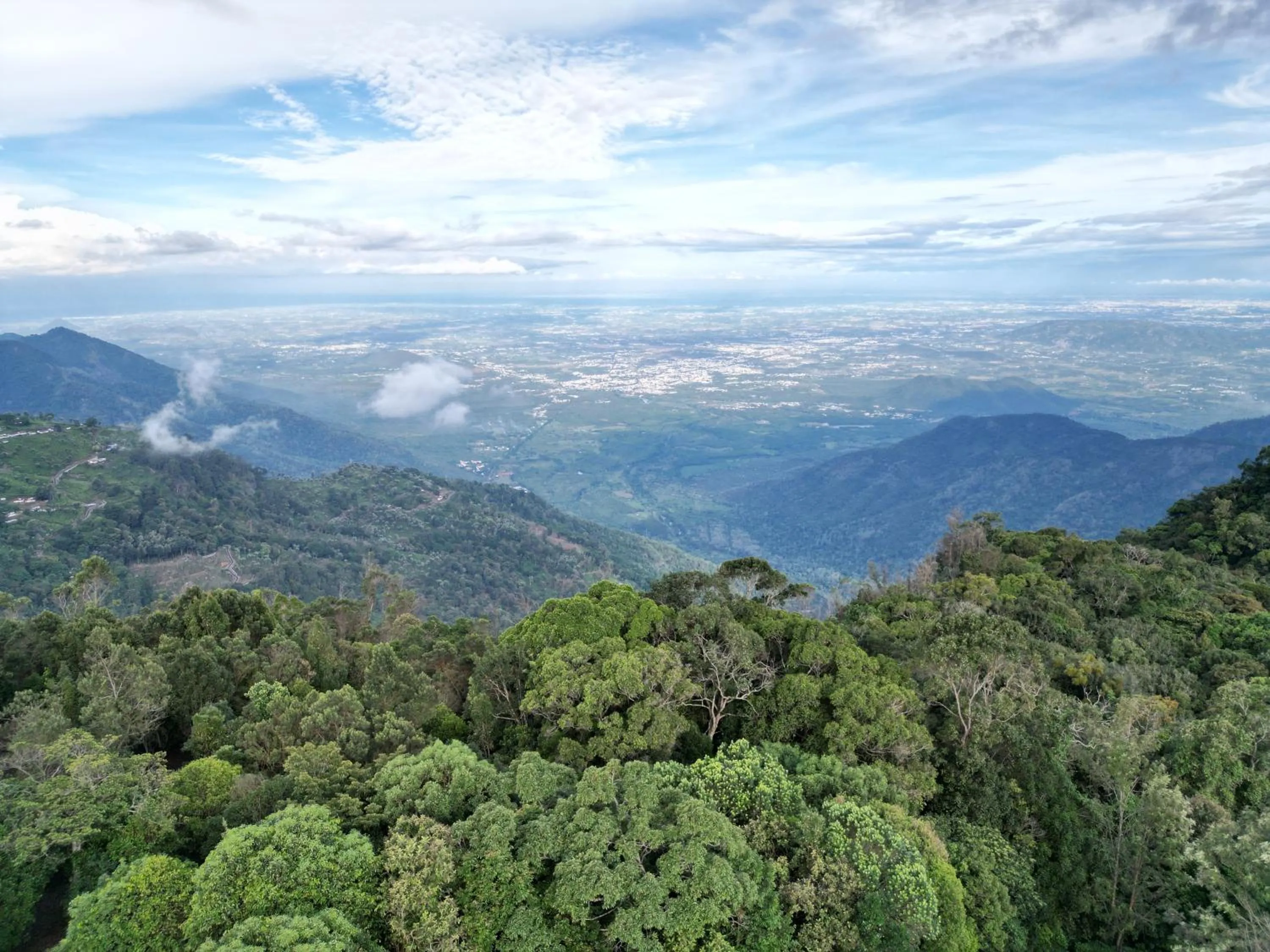 Day in Ibex Resorts, Coonoor - Tapas