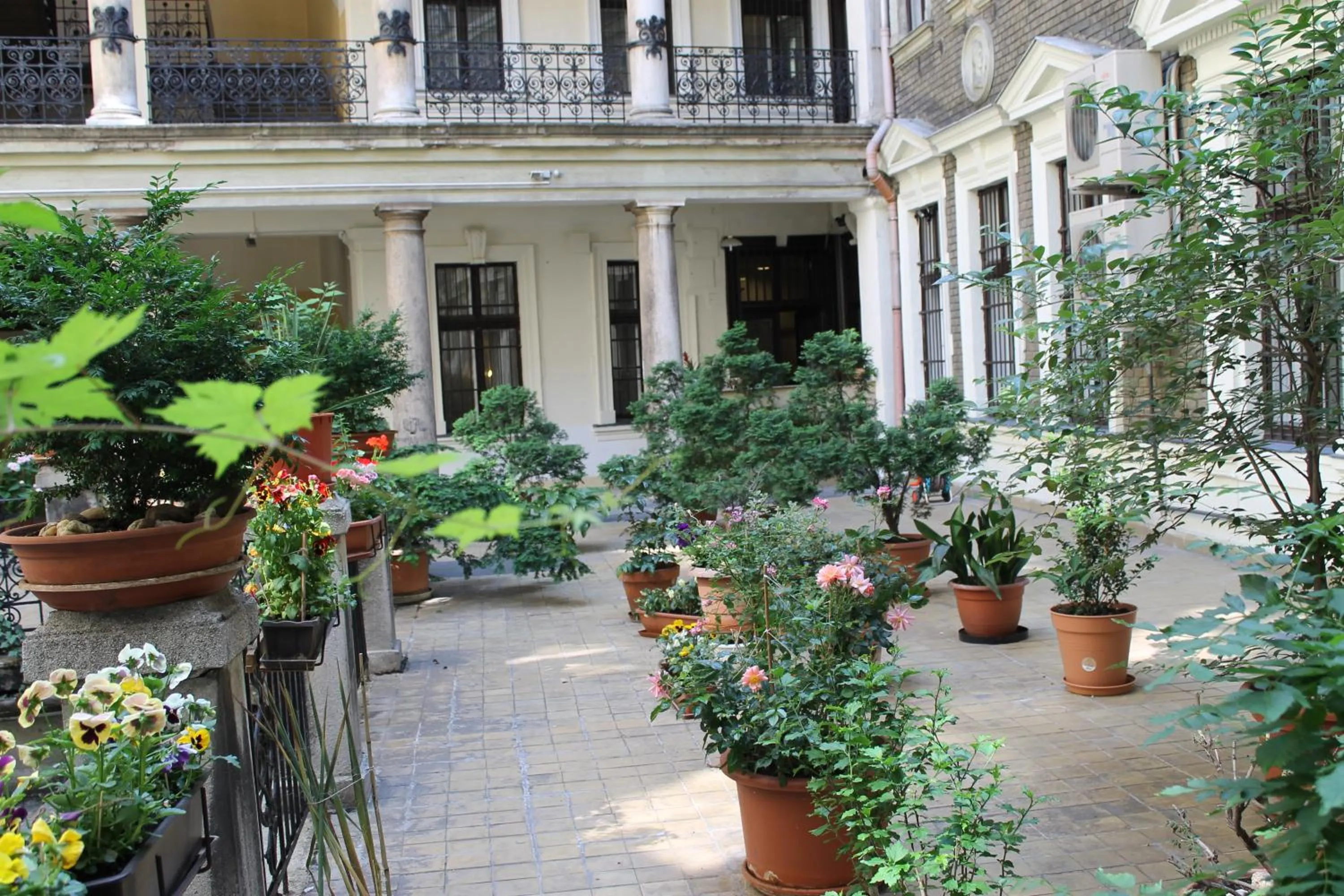 Garden view in Omega Guesthouse Budapest