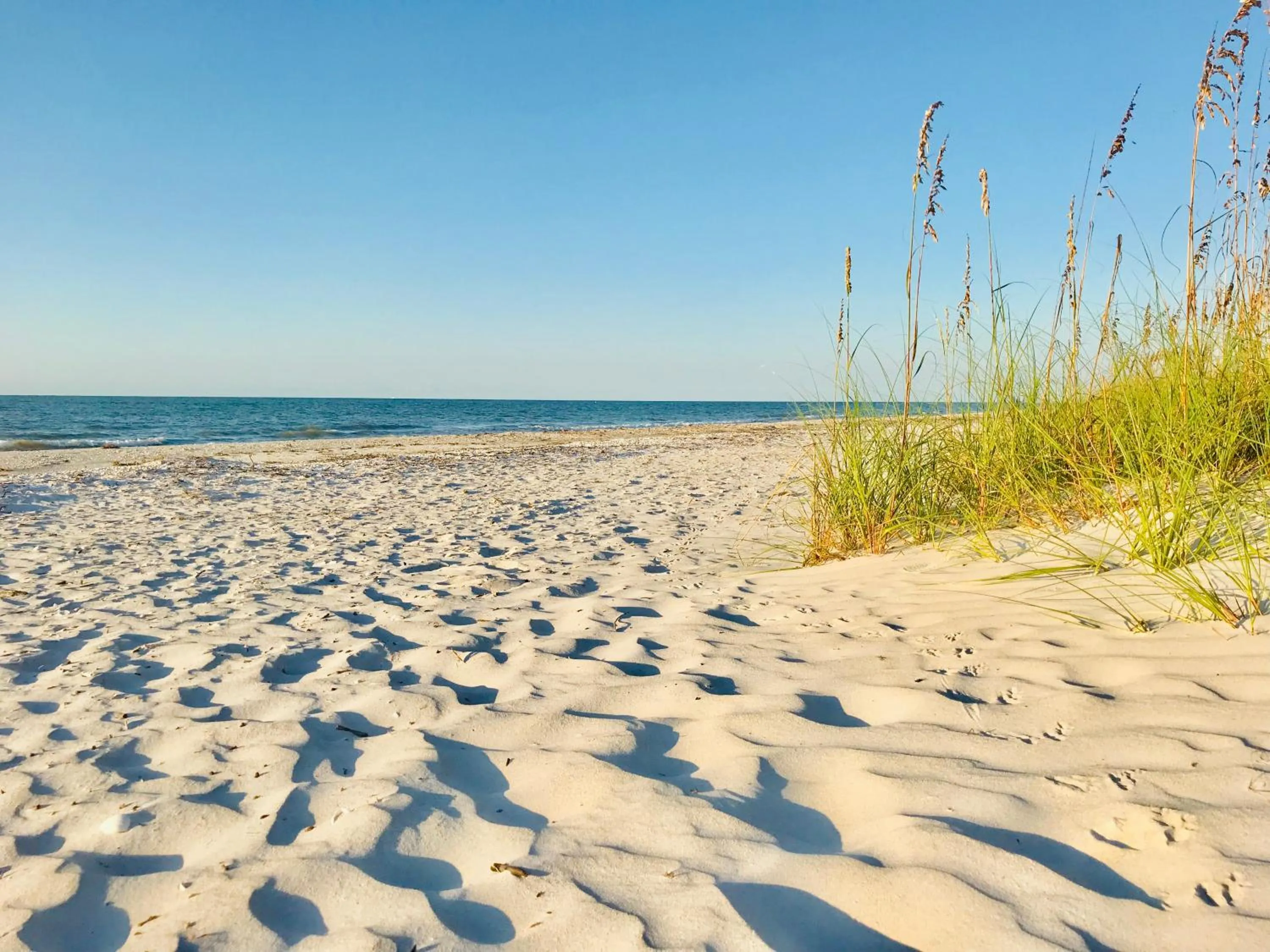 Beach in Sanibel Siesta on the Beach