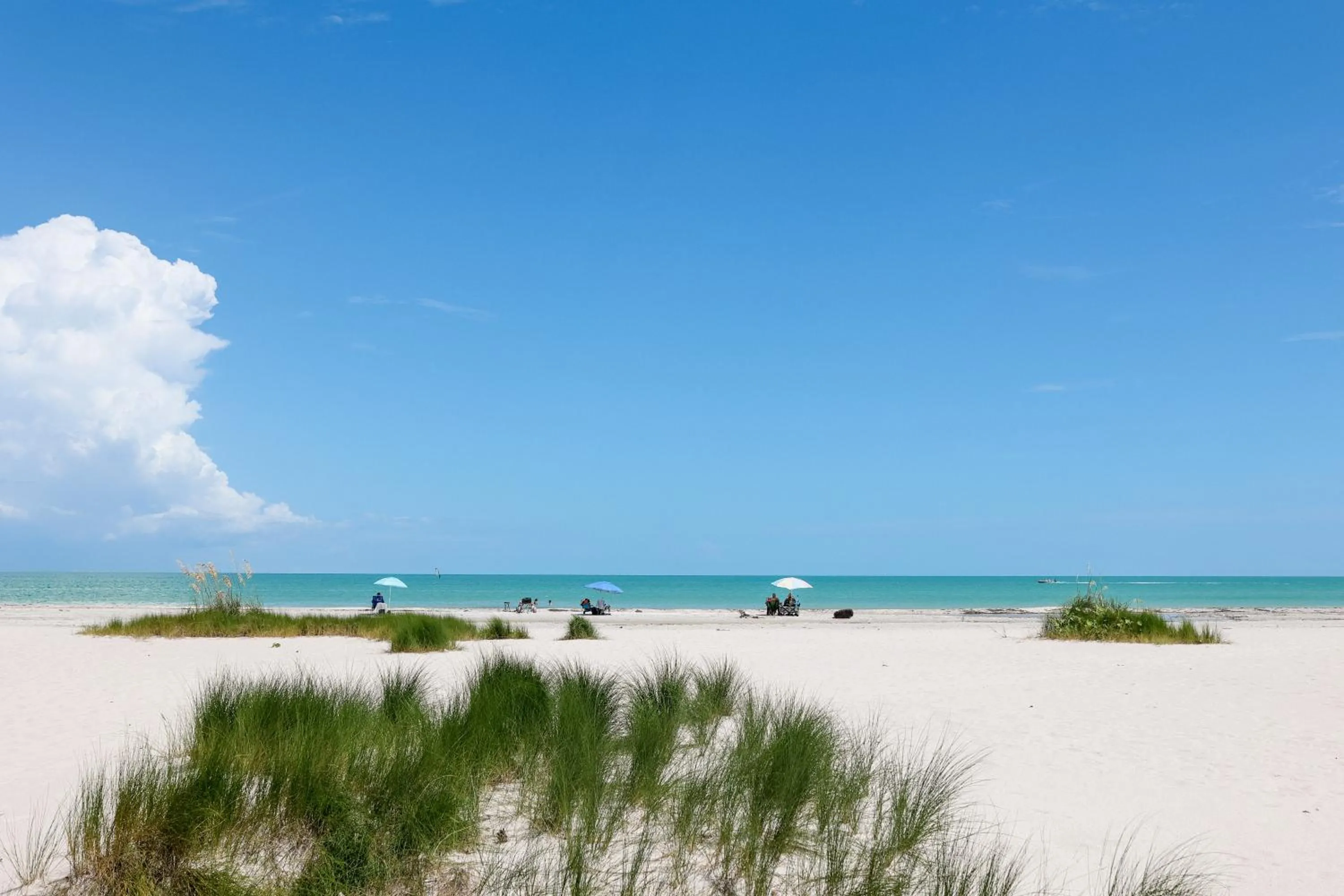 Beach in Sanibel Siesta on the Beach