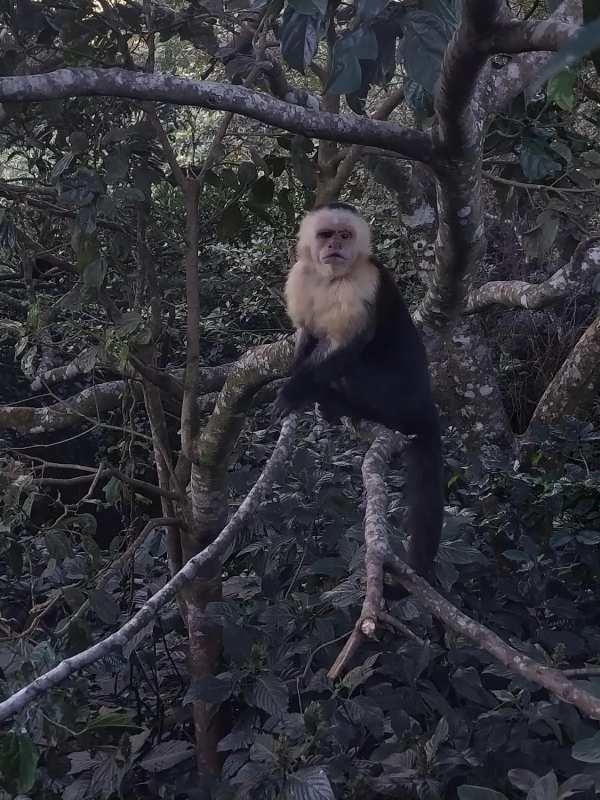 View (from property/room) in Belcruz family lodge