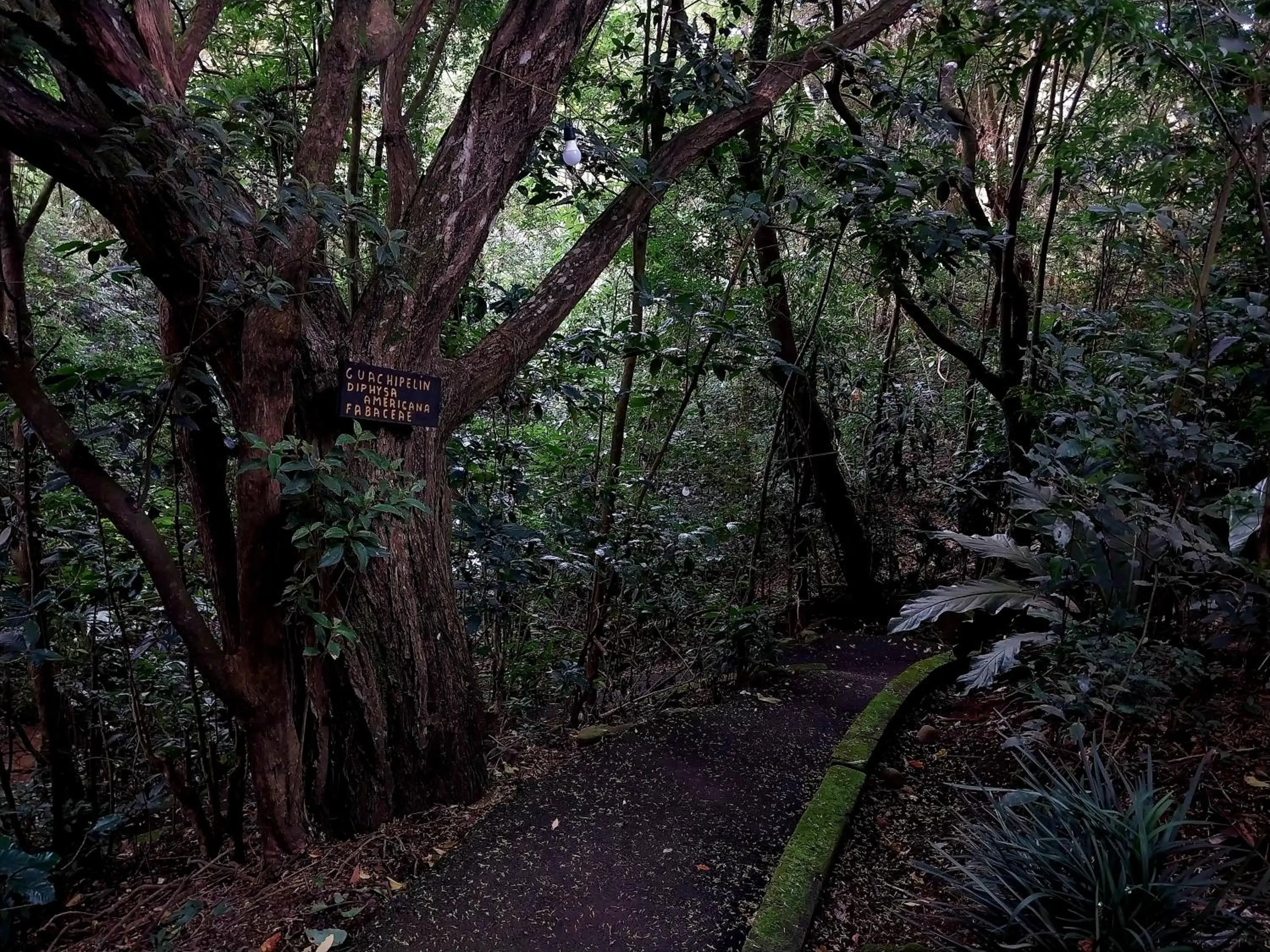 Hiking in Belcruz family lodge