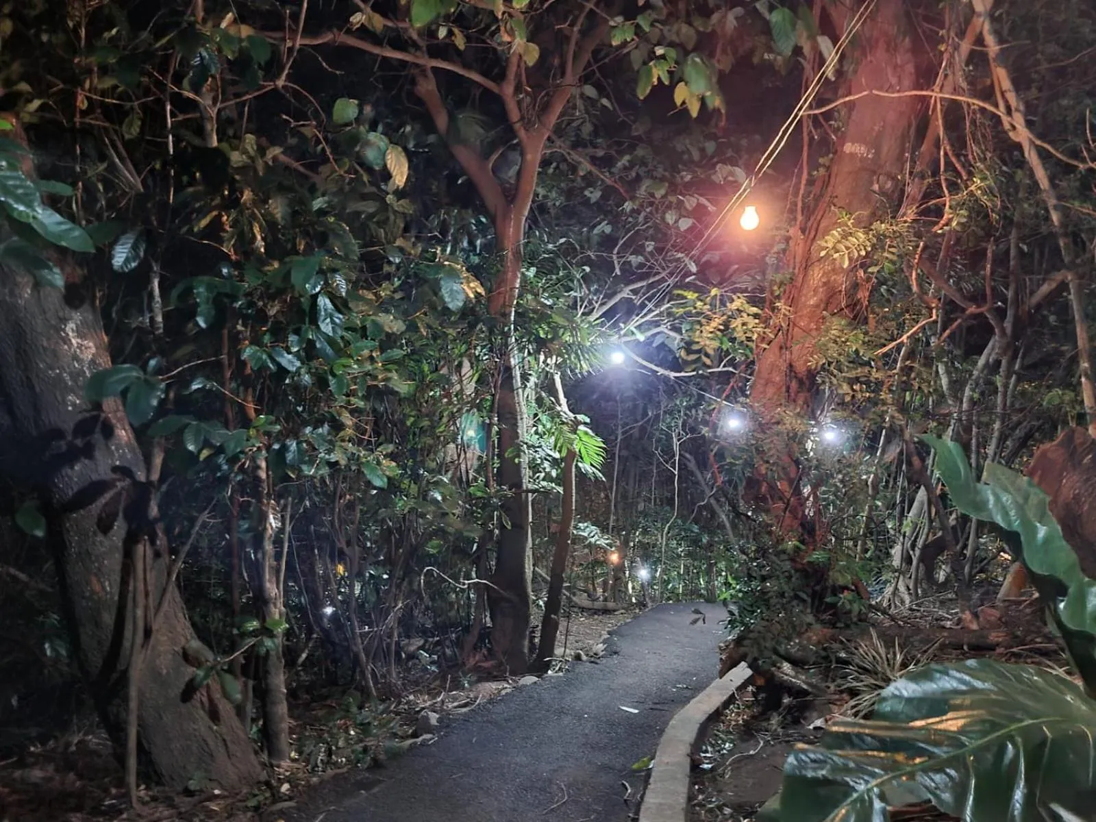 Hiking in Belcruz family lodge