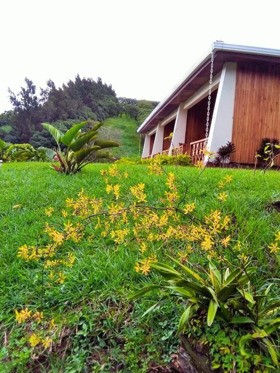Spring in Belcruz family lodge