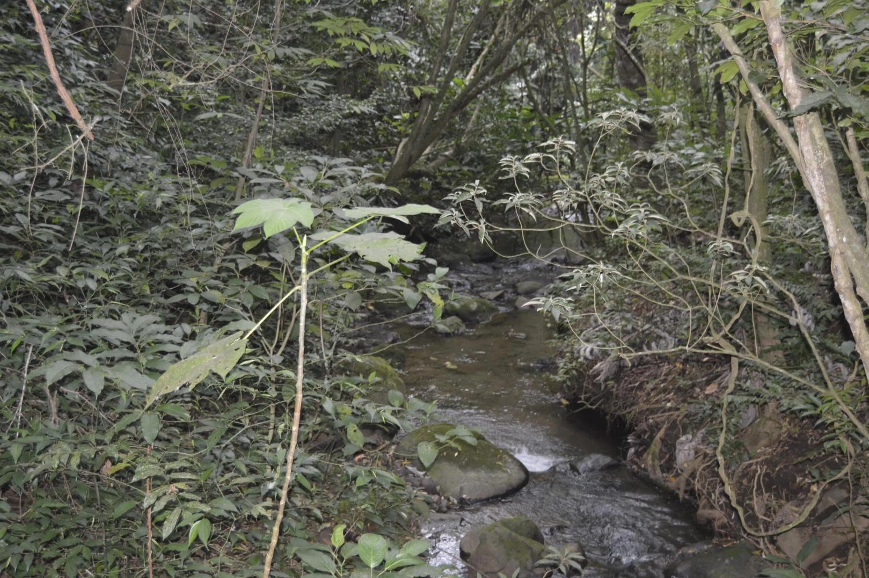 Hiking in Belcruz family lodge