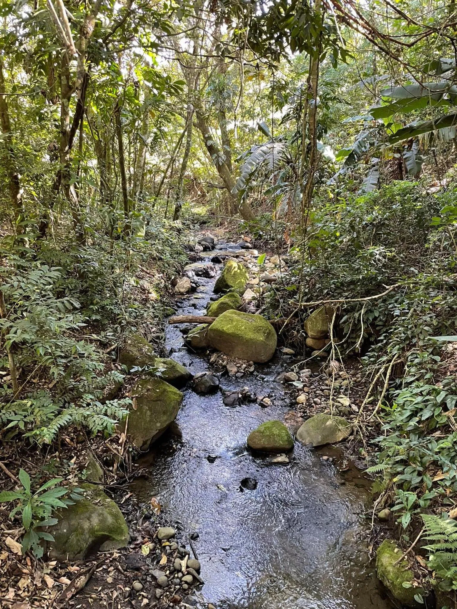 Natural landscape in Belcruz family lodge