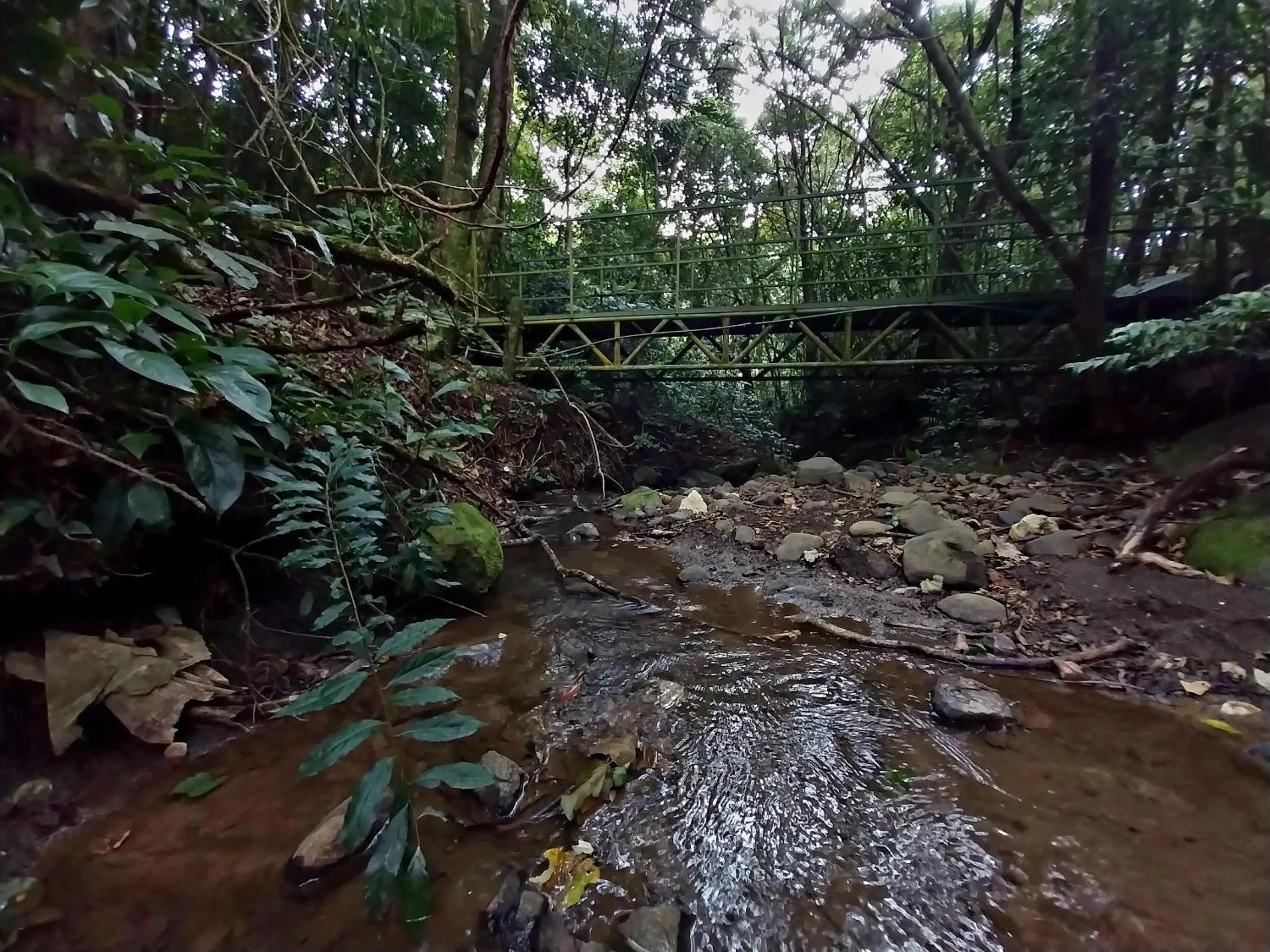 Hiking in Belcruz family lodge