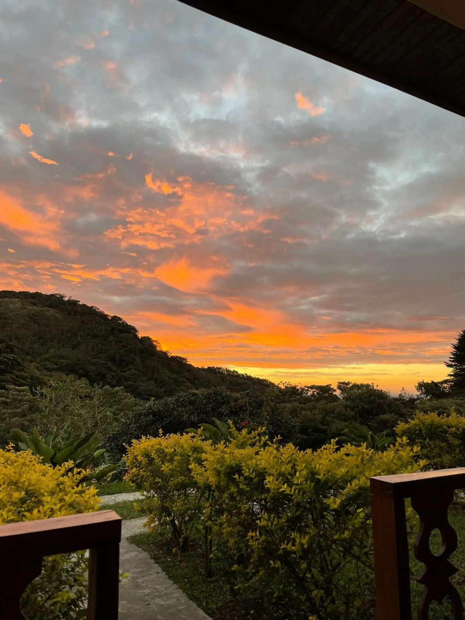 Natural landscape in Belcruz family lodge