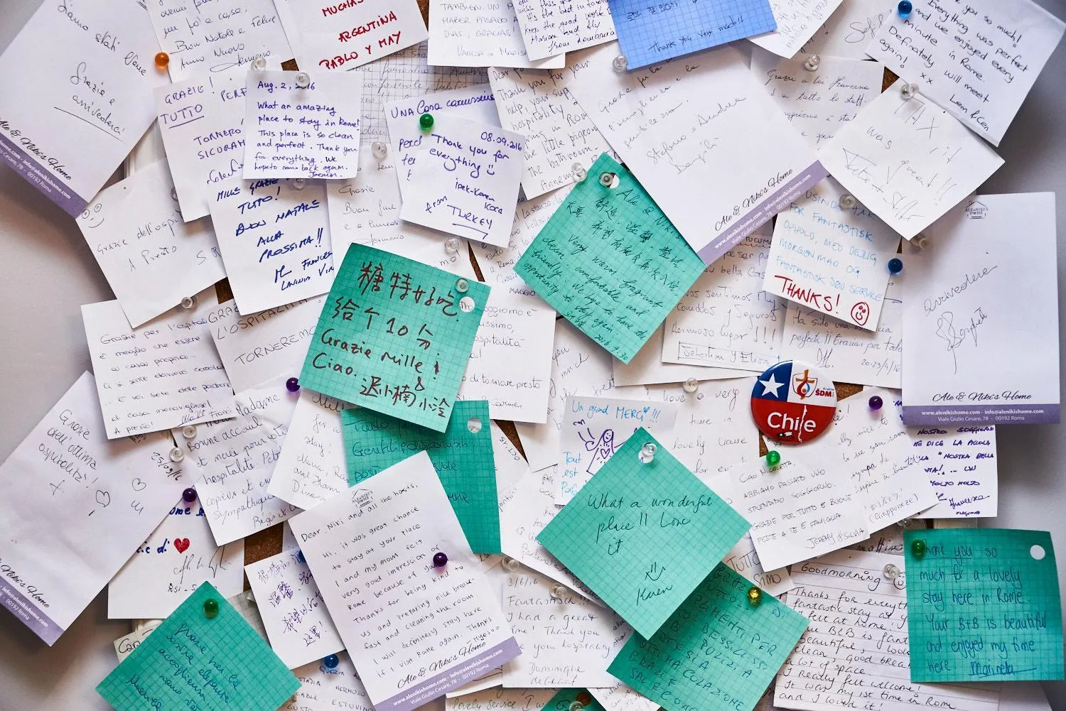 group of guests in Ale & Niki's Home