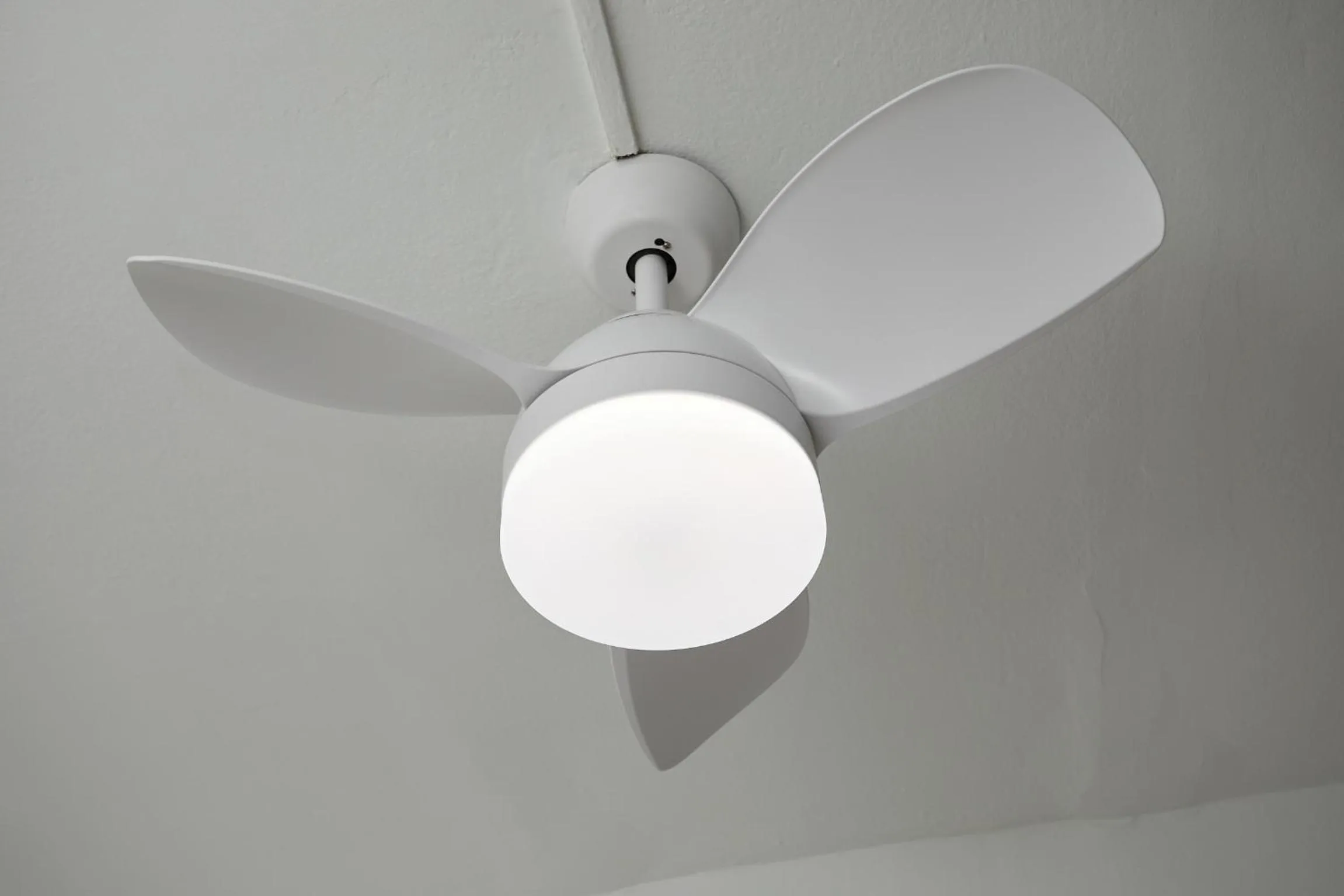 Decorative detail in Park Guell