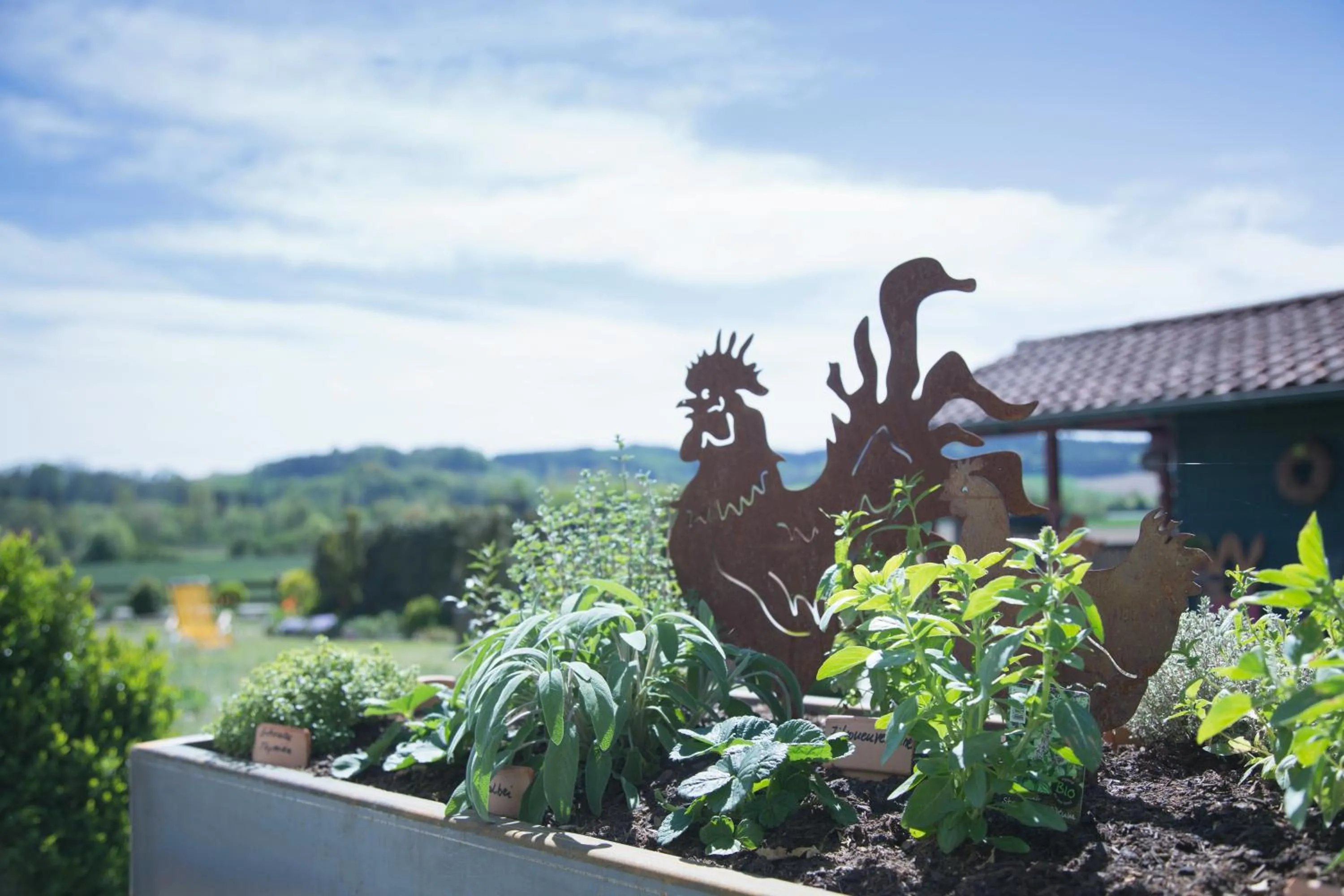 Garden in Hotel Sankt Leonhard - Dein Wohlfühlort zum Loslassen und Kraftschöpfen