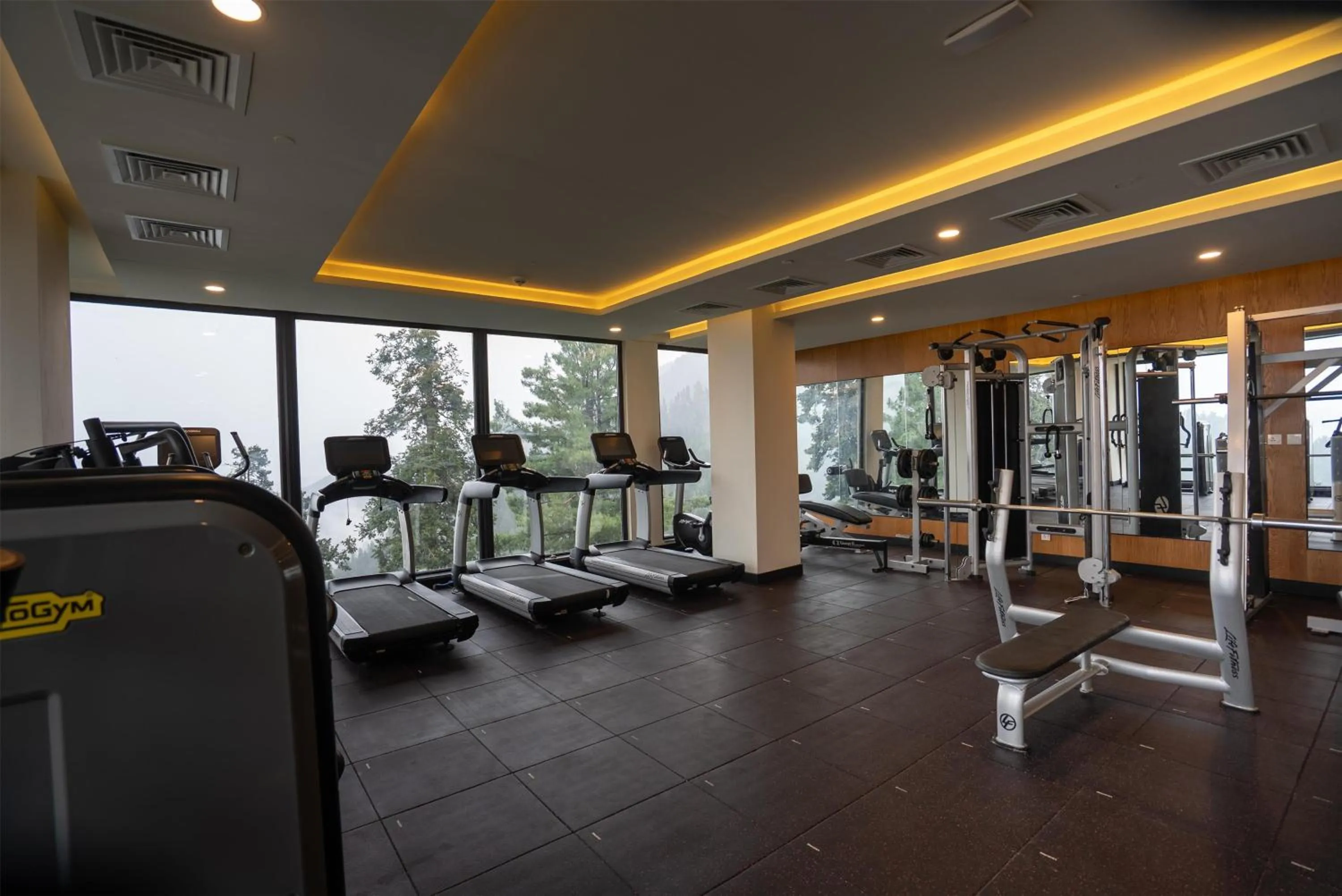 Fitness centre/facilities in Doubletree By Hilton Nathiagali