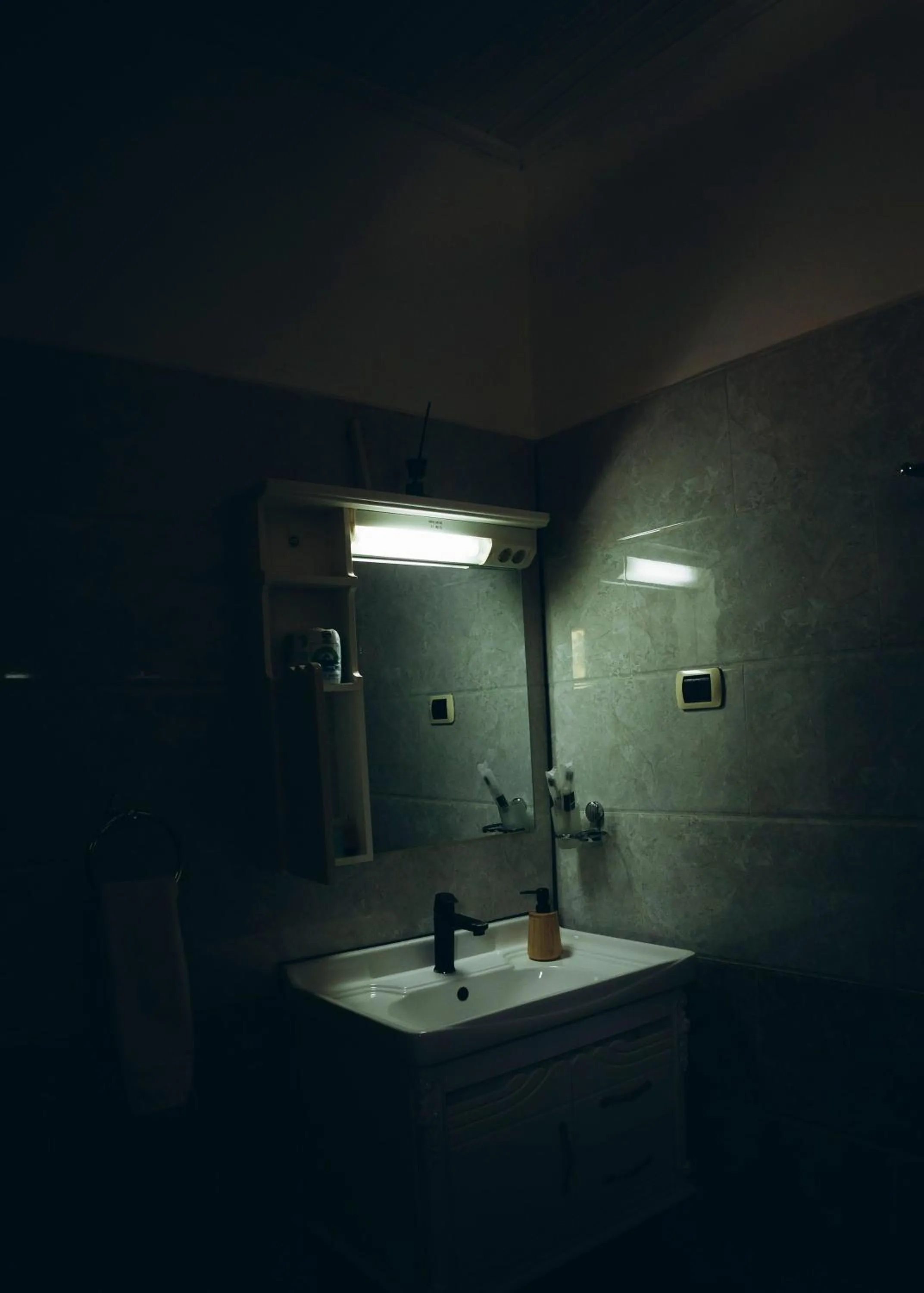 Toilet in Eagle View Golf