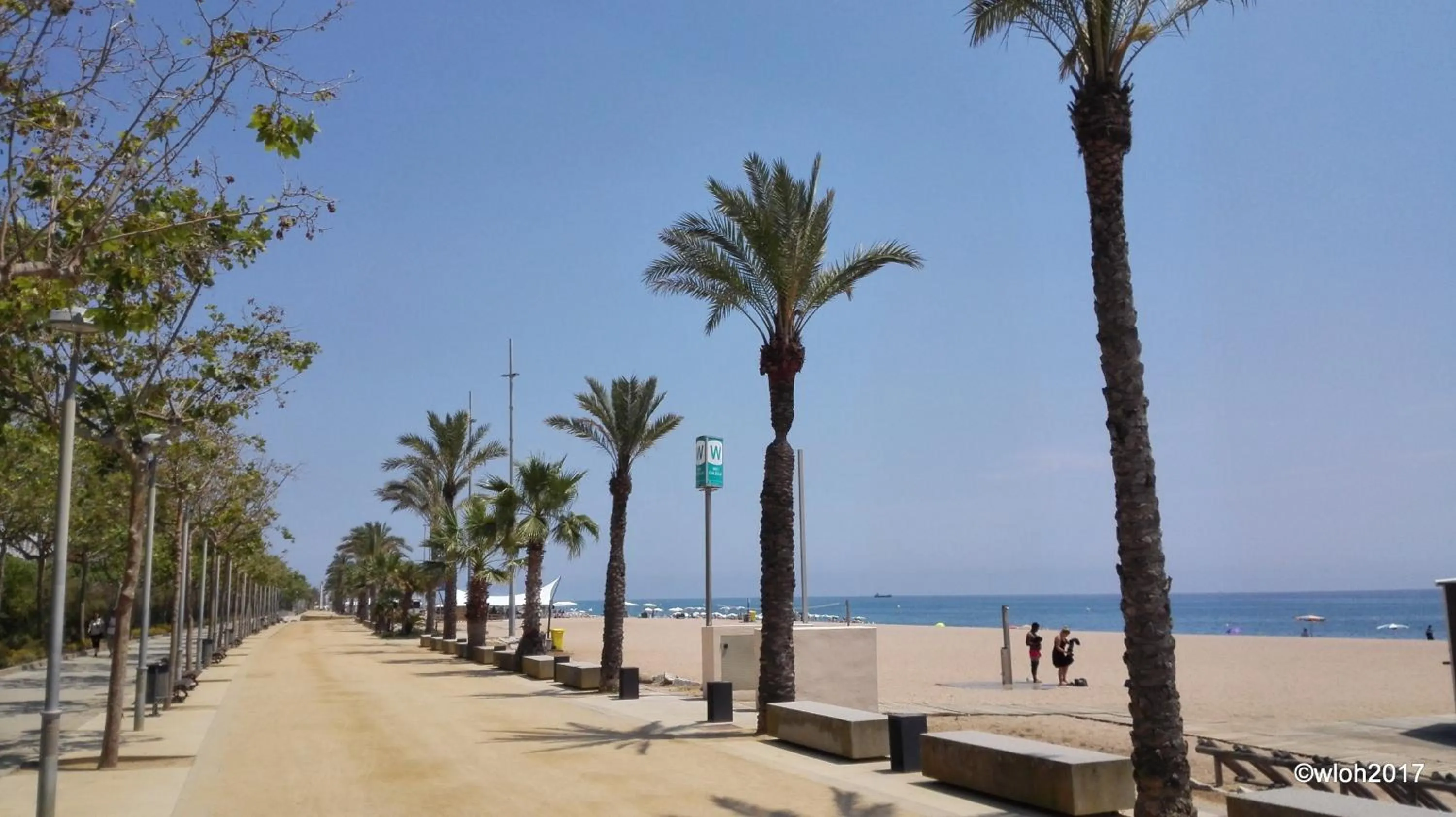 Natural landscape, Beach in Hotel Esplai