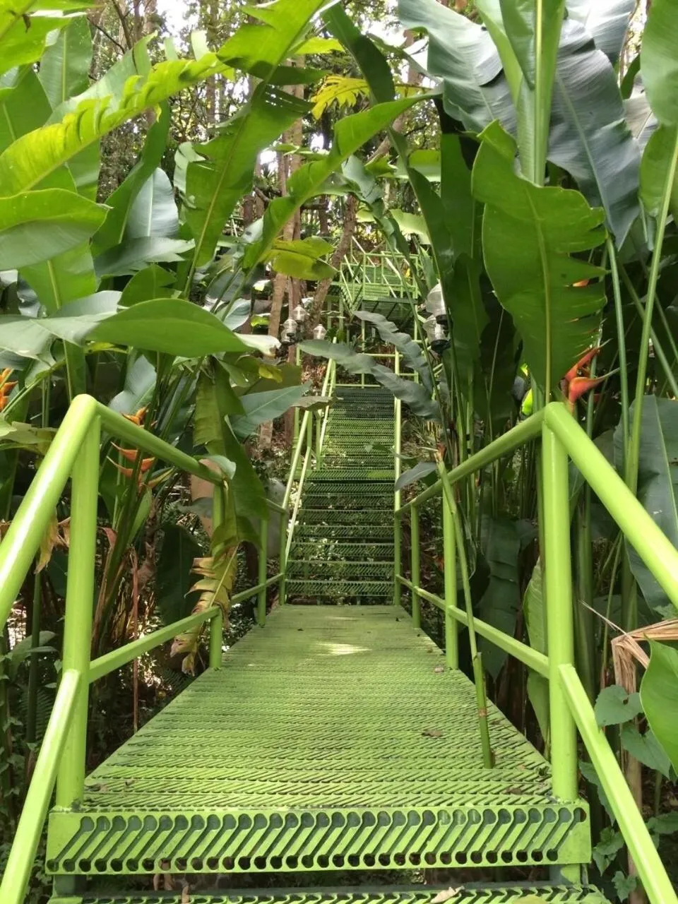 Day in Phu Pha Nam Resort