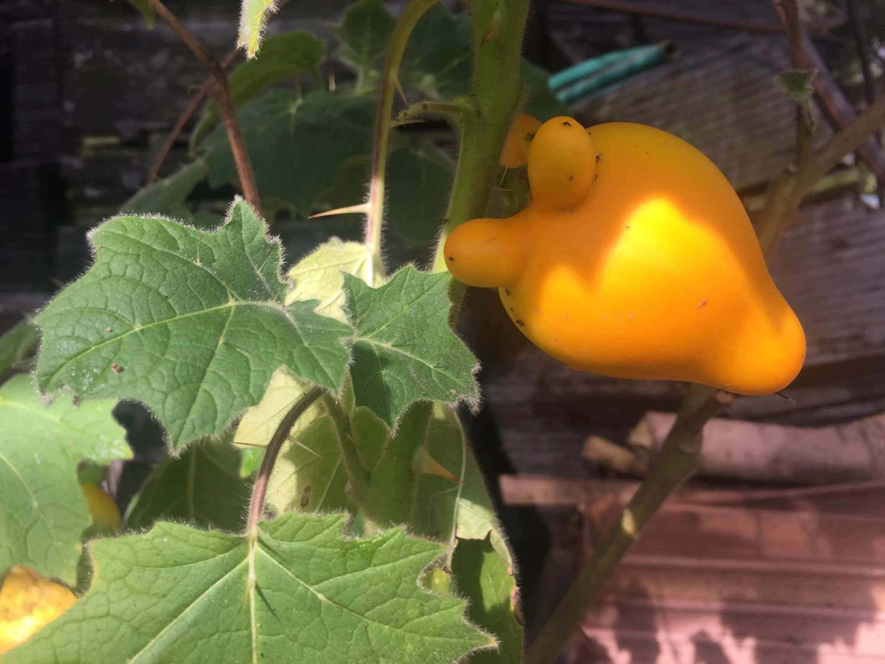 Other in Phu Pha Nam Resort