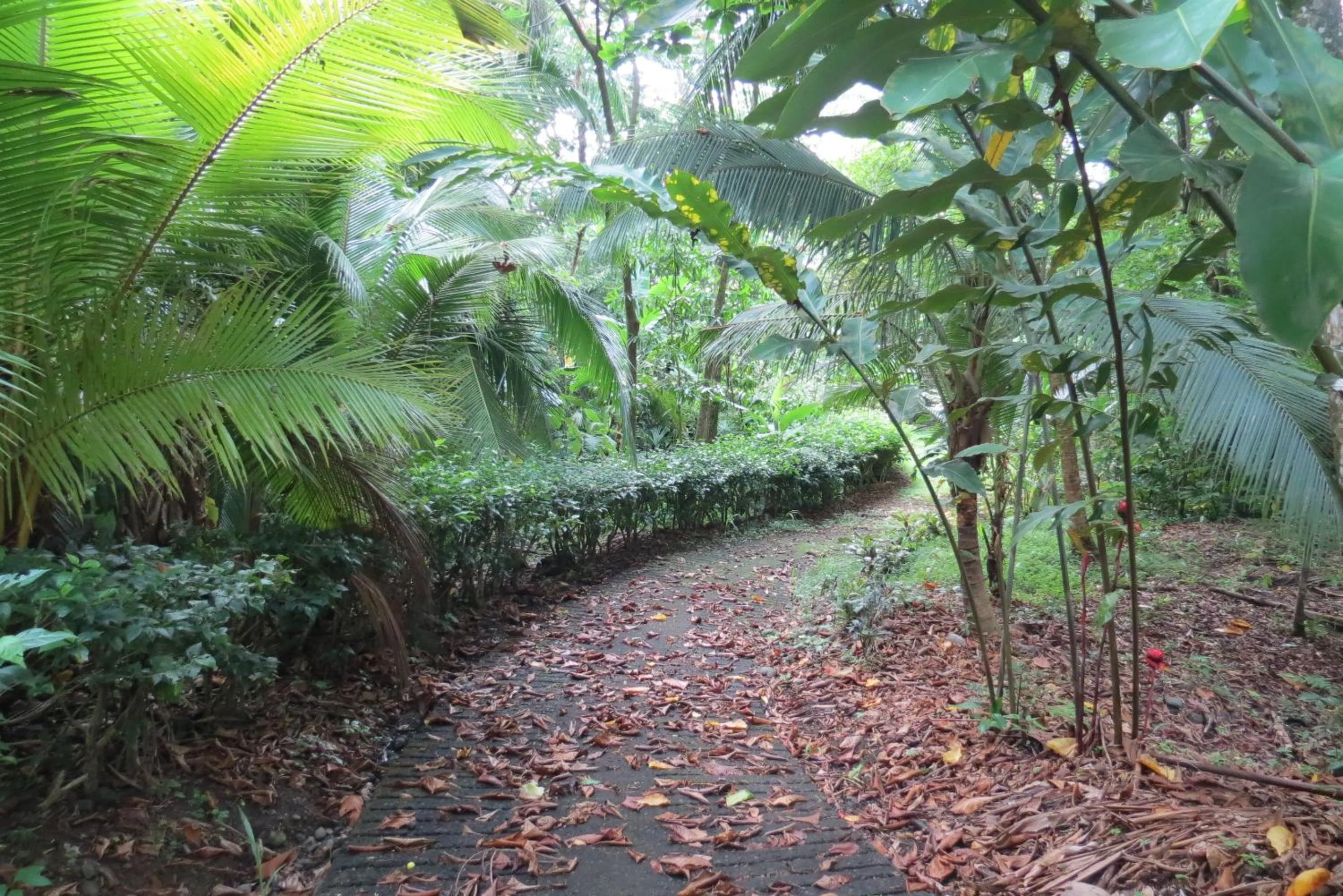 Day in Apartamento Karibu