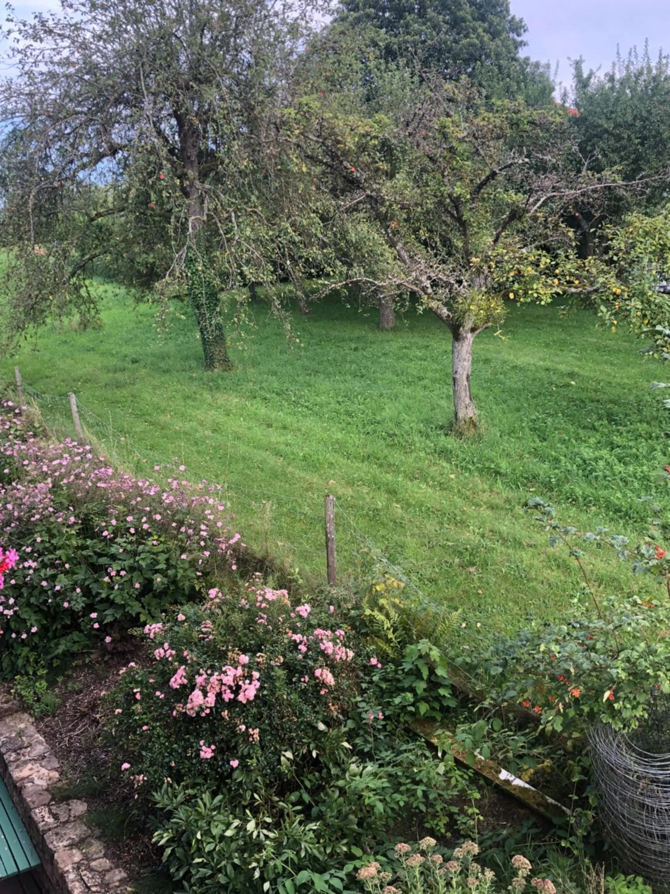 View (from property/room) in Landhaus Weber