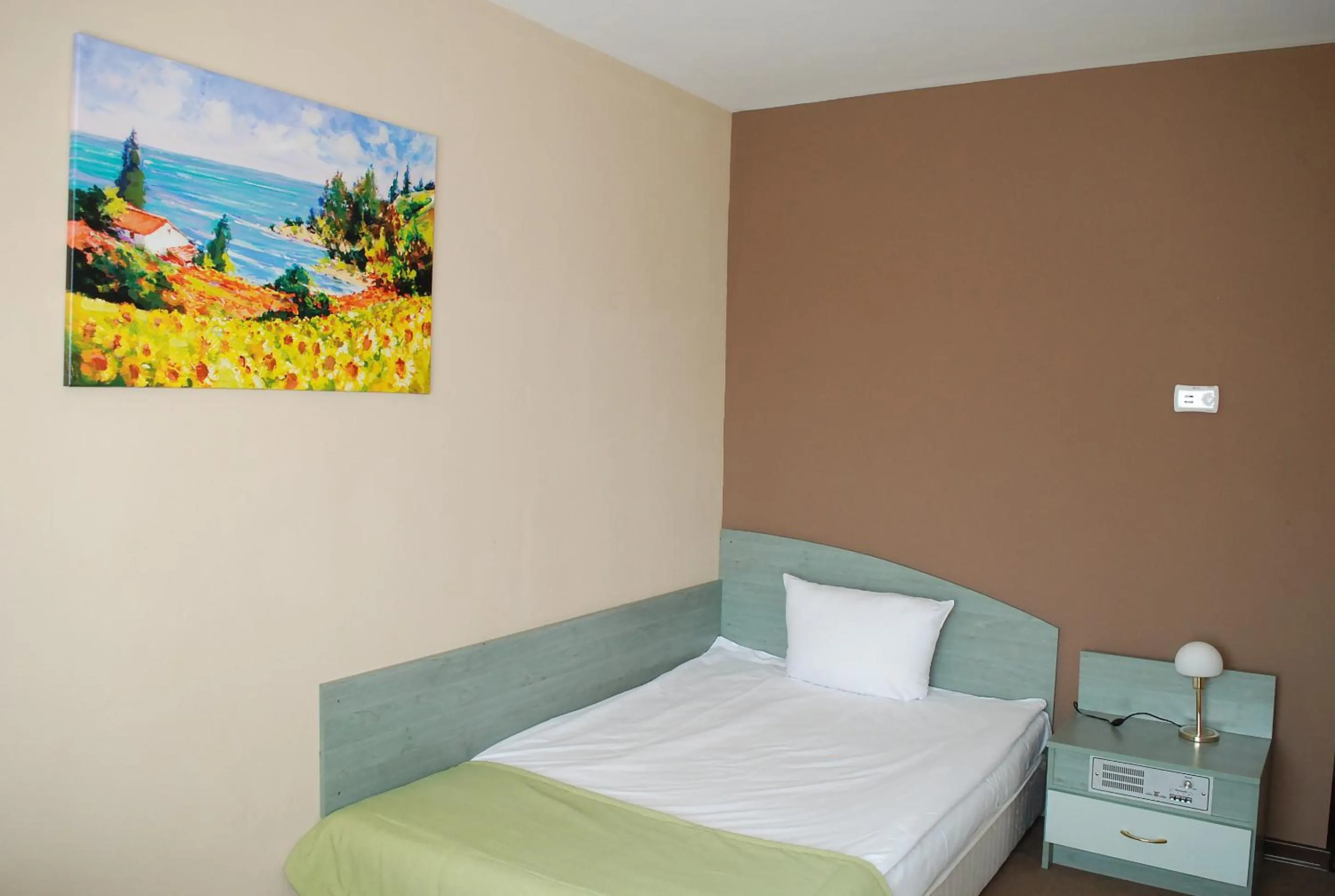 Photo of the whole room, Bed in Hotel Balkan