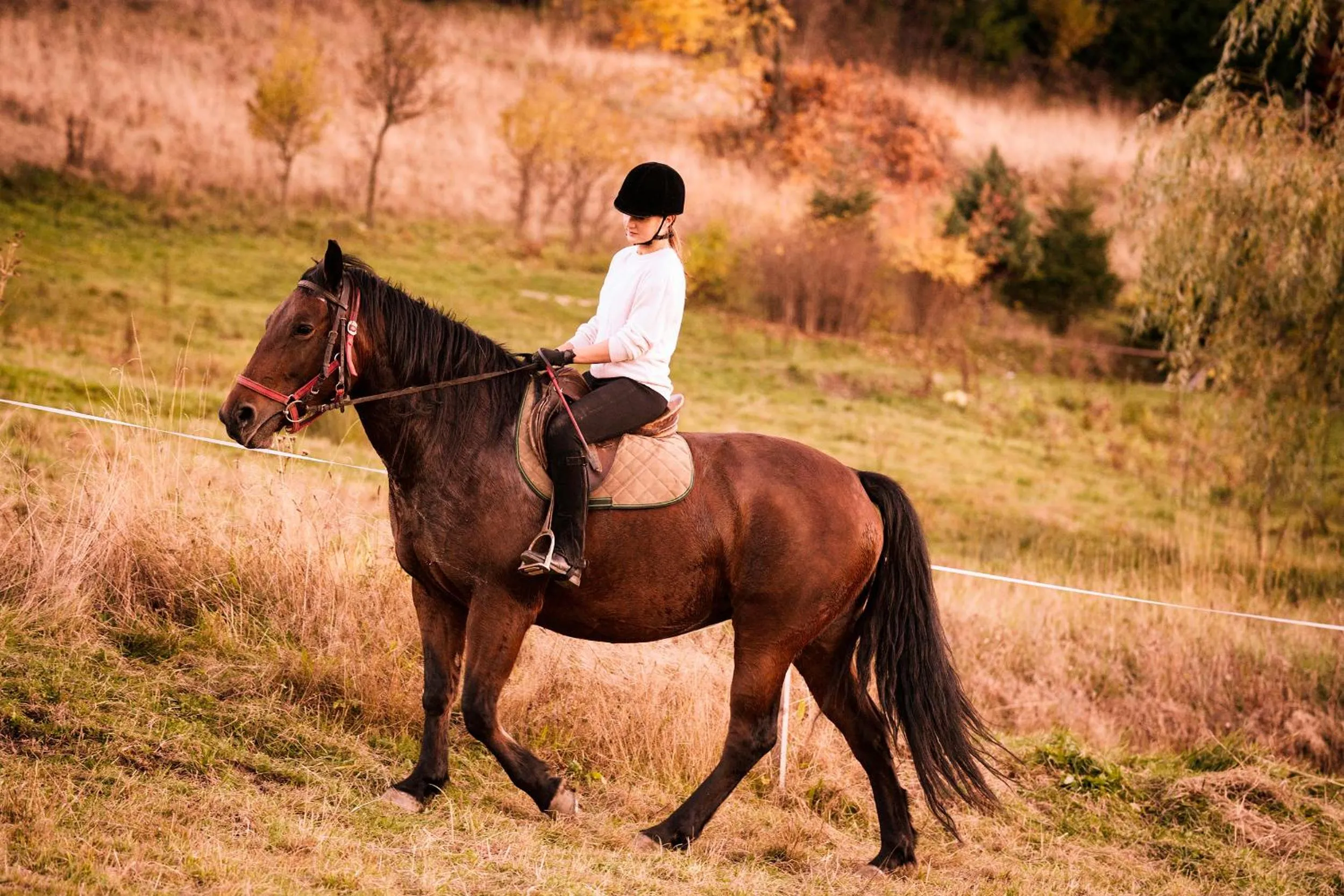 Horse-riding in Hotel Klaudia