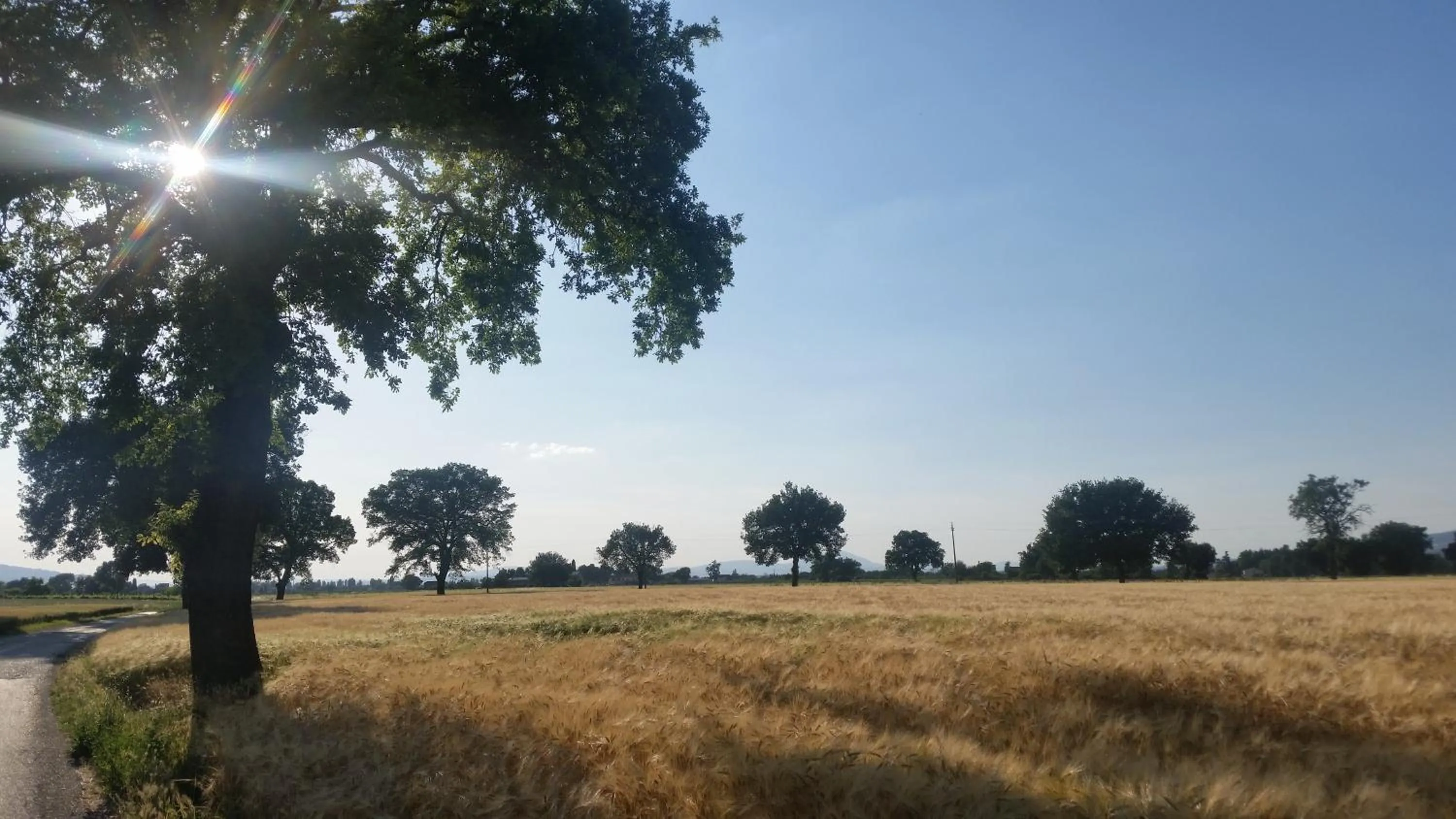 Spring in B&B Le Rose