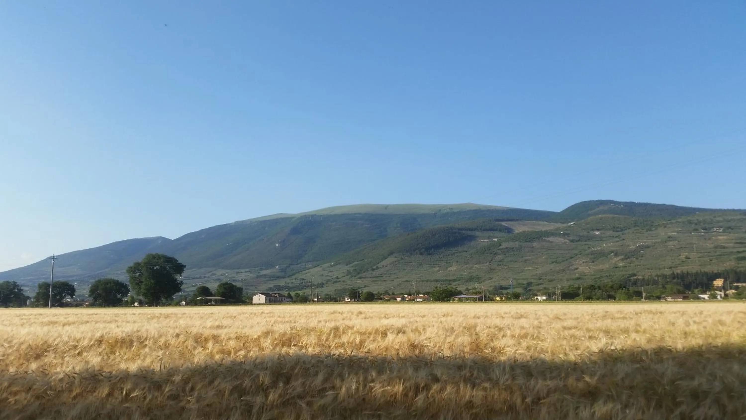 Garden in B&B Le Rose