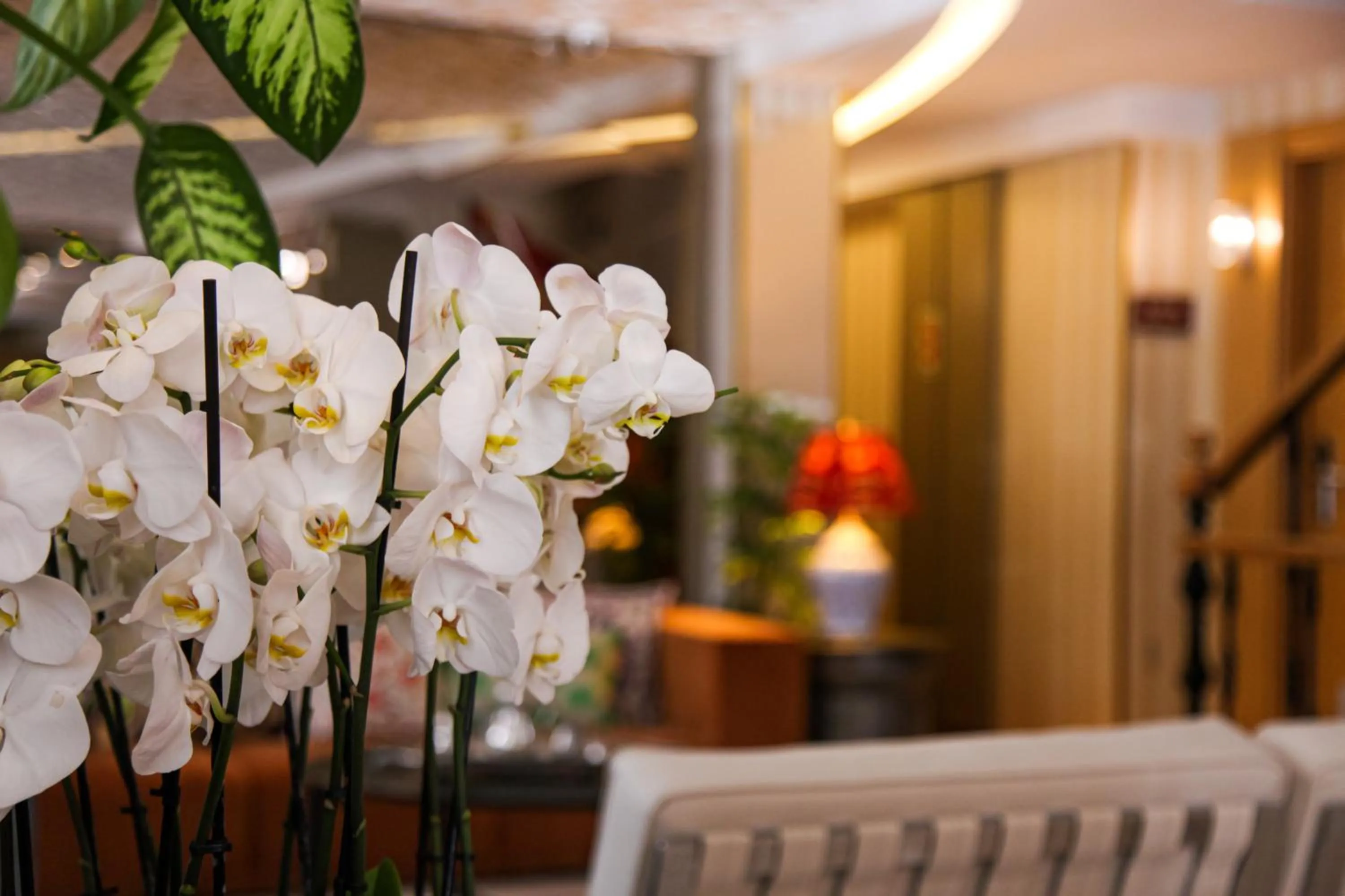 Lobby or reception in Almina Guest House