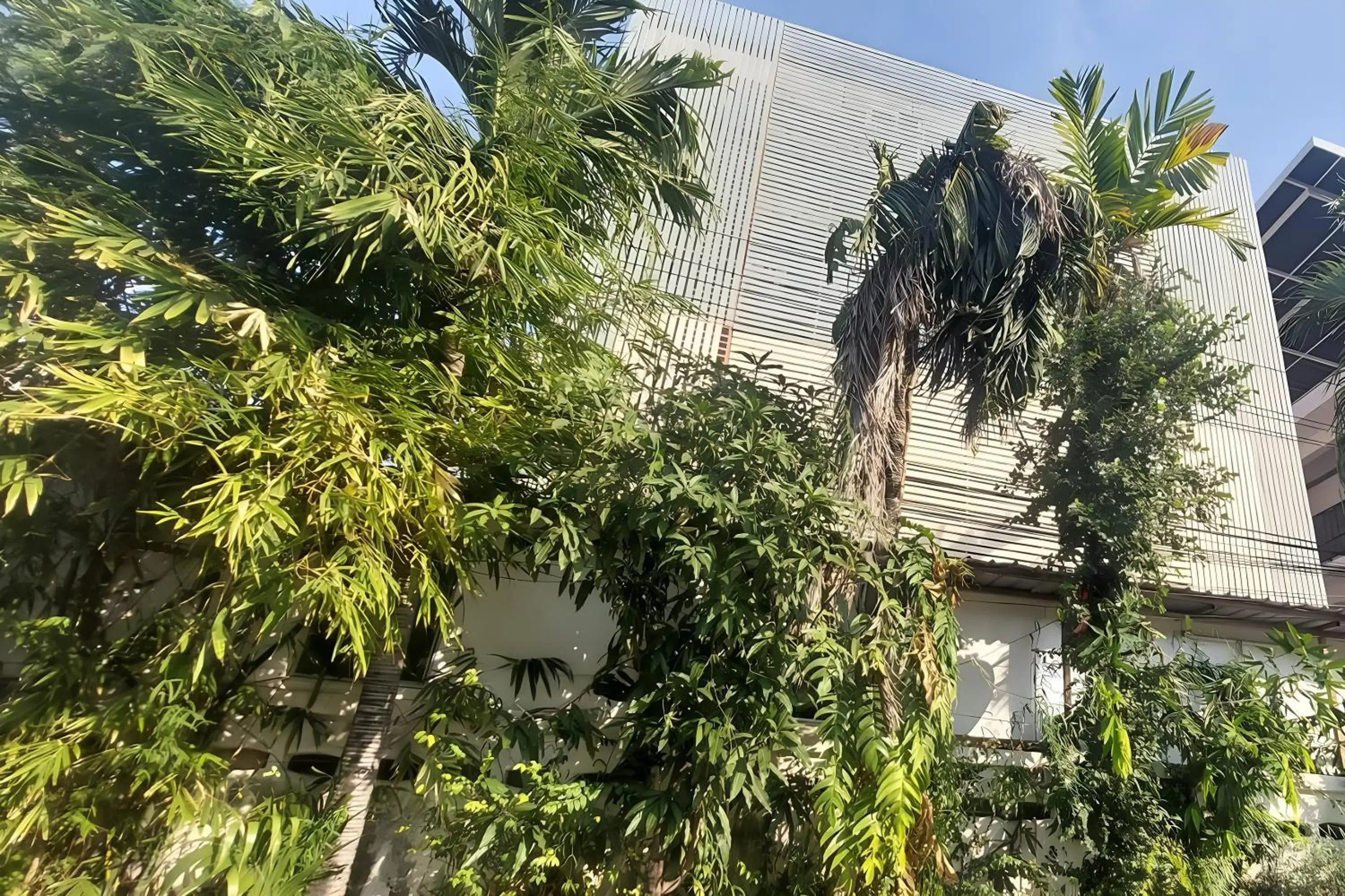 Property building in Sukhum Mega Bangna Guest House Property building in Sukhum Mega Bangna Guest House