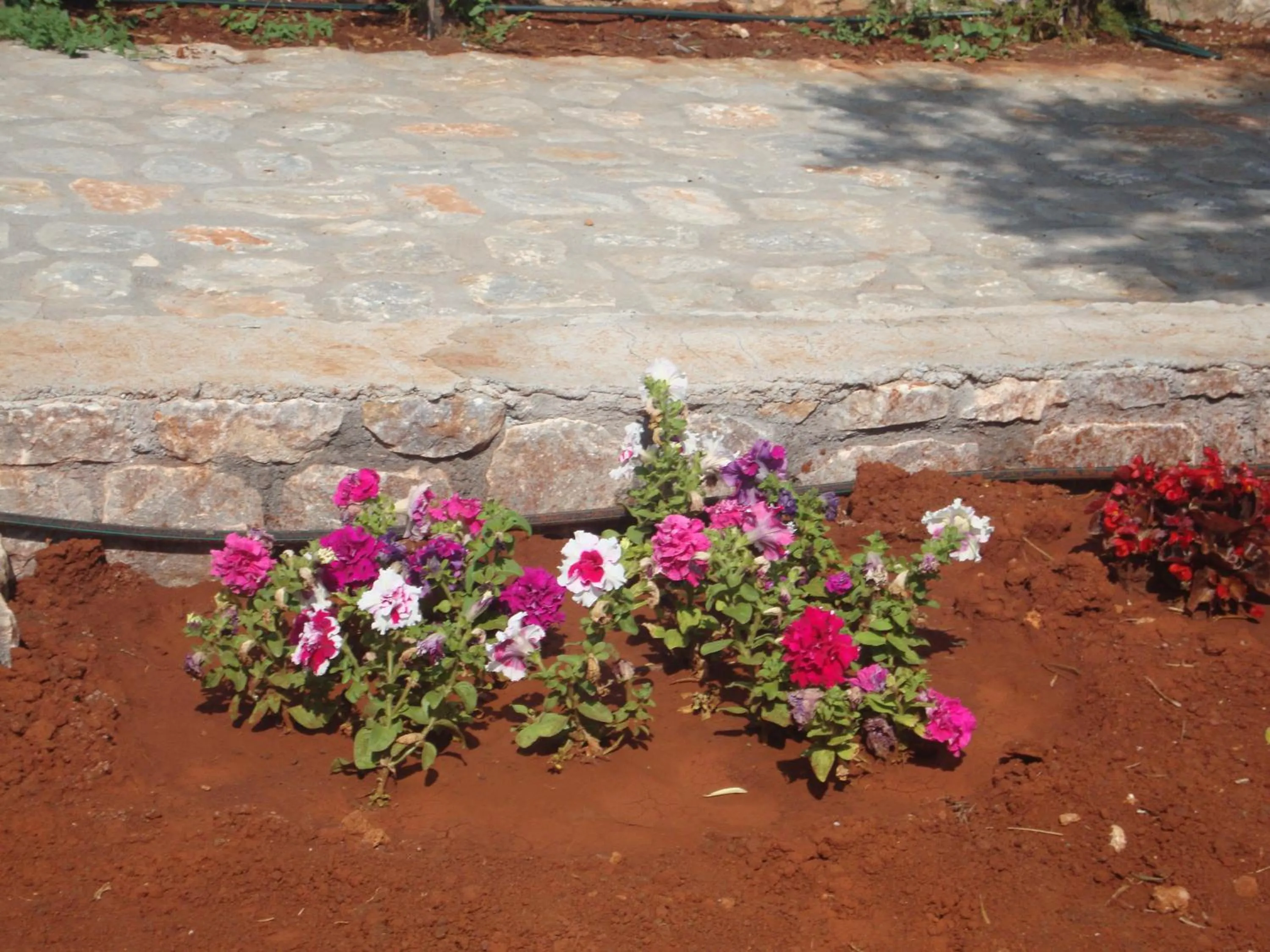 Spring in Koukouri Suites