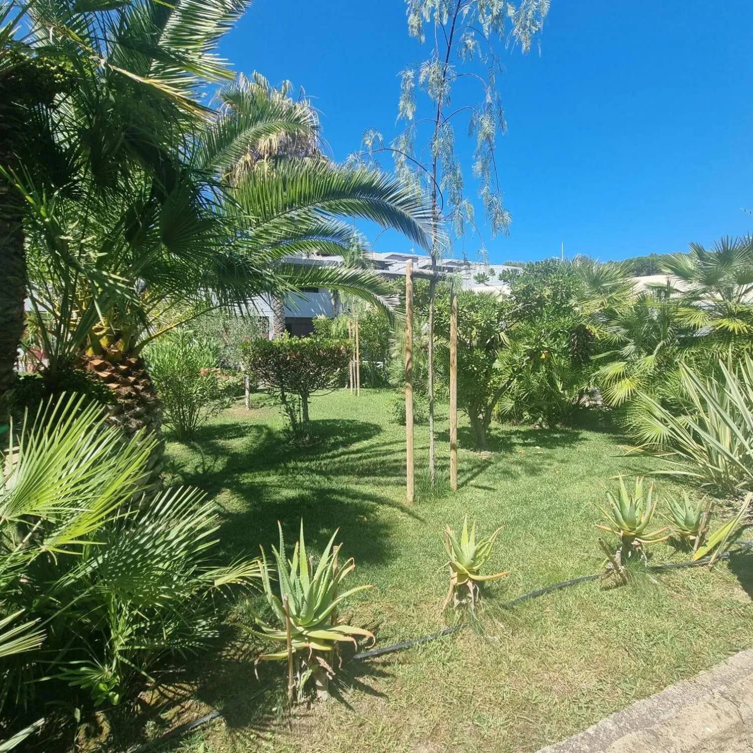 Garden in Residence Solemaremma