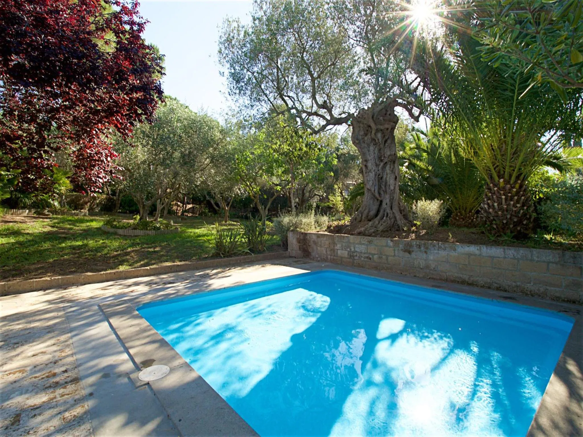 Natural landscape in Residence Solemaremma