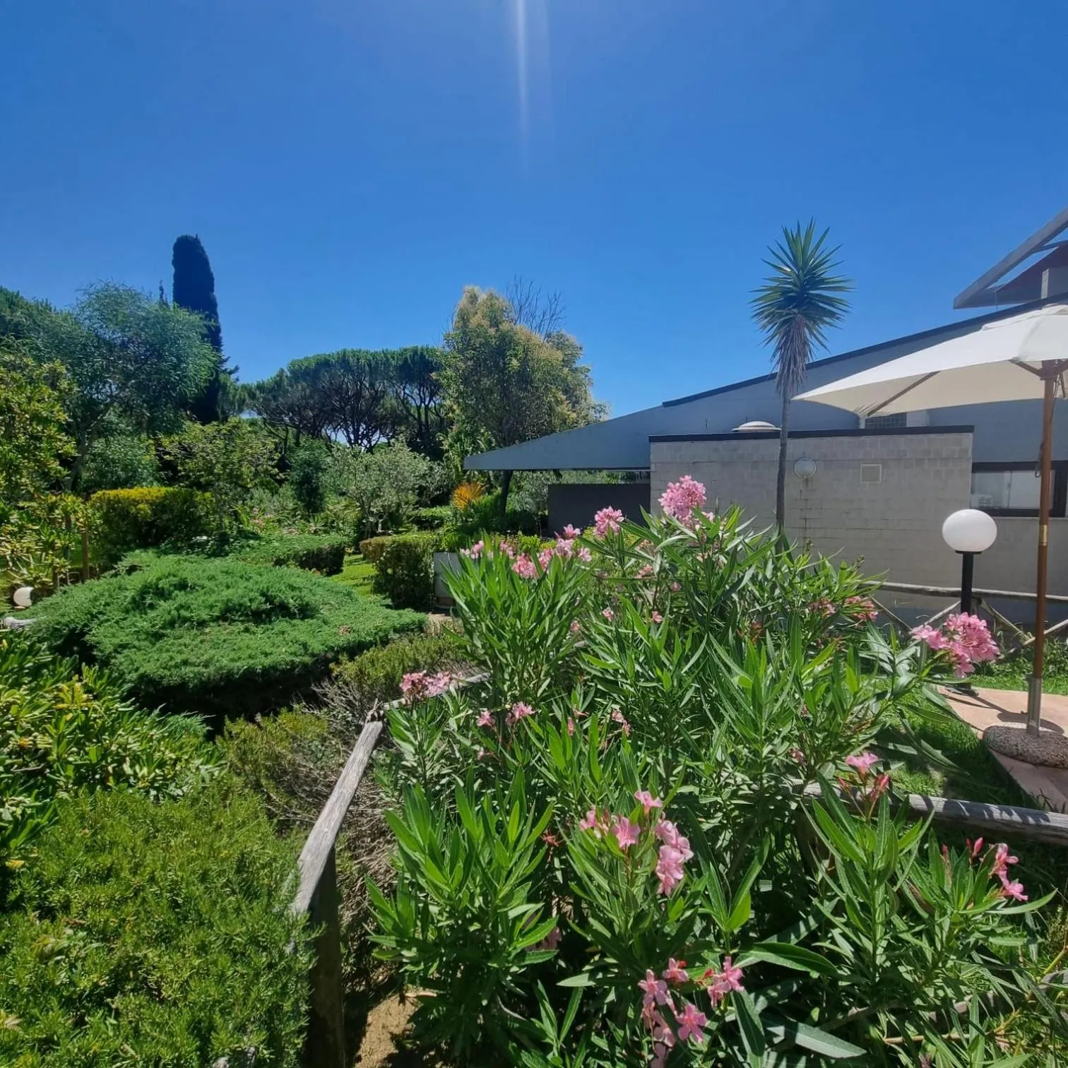 Day in Residence Solemaremma