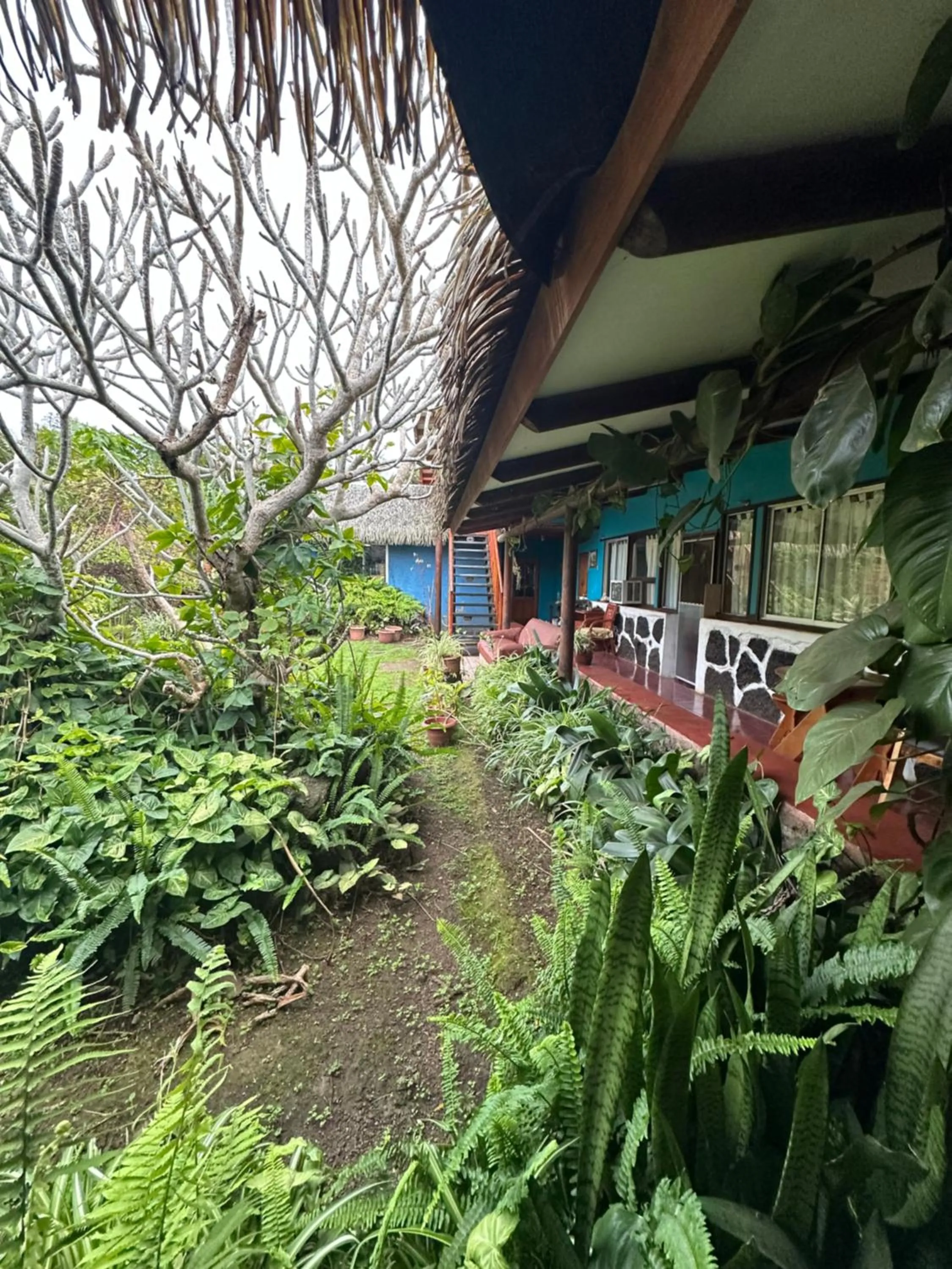 Garden in Hare Henua B&B