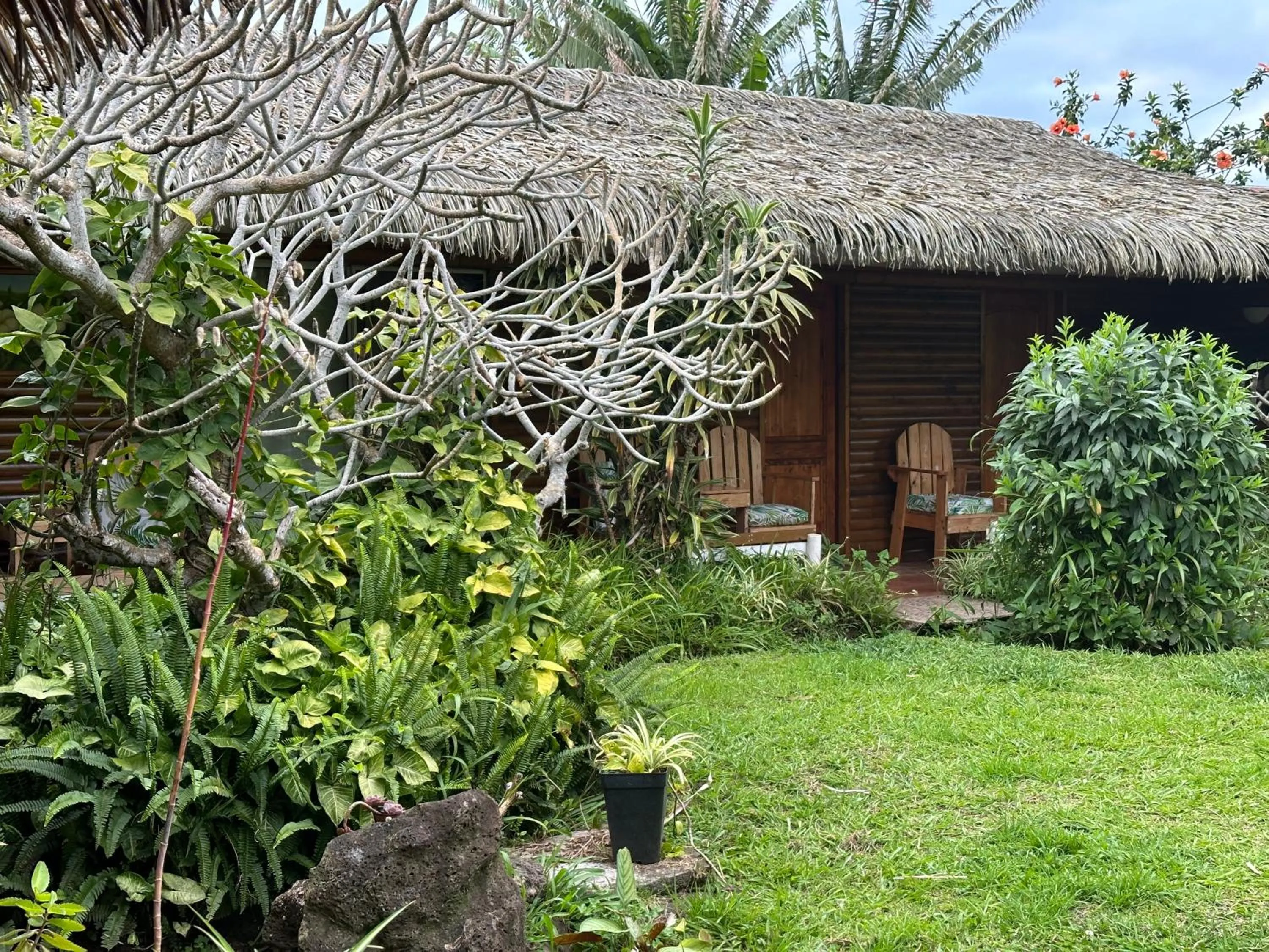 Garden in Hare Henua B&B