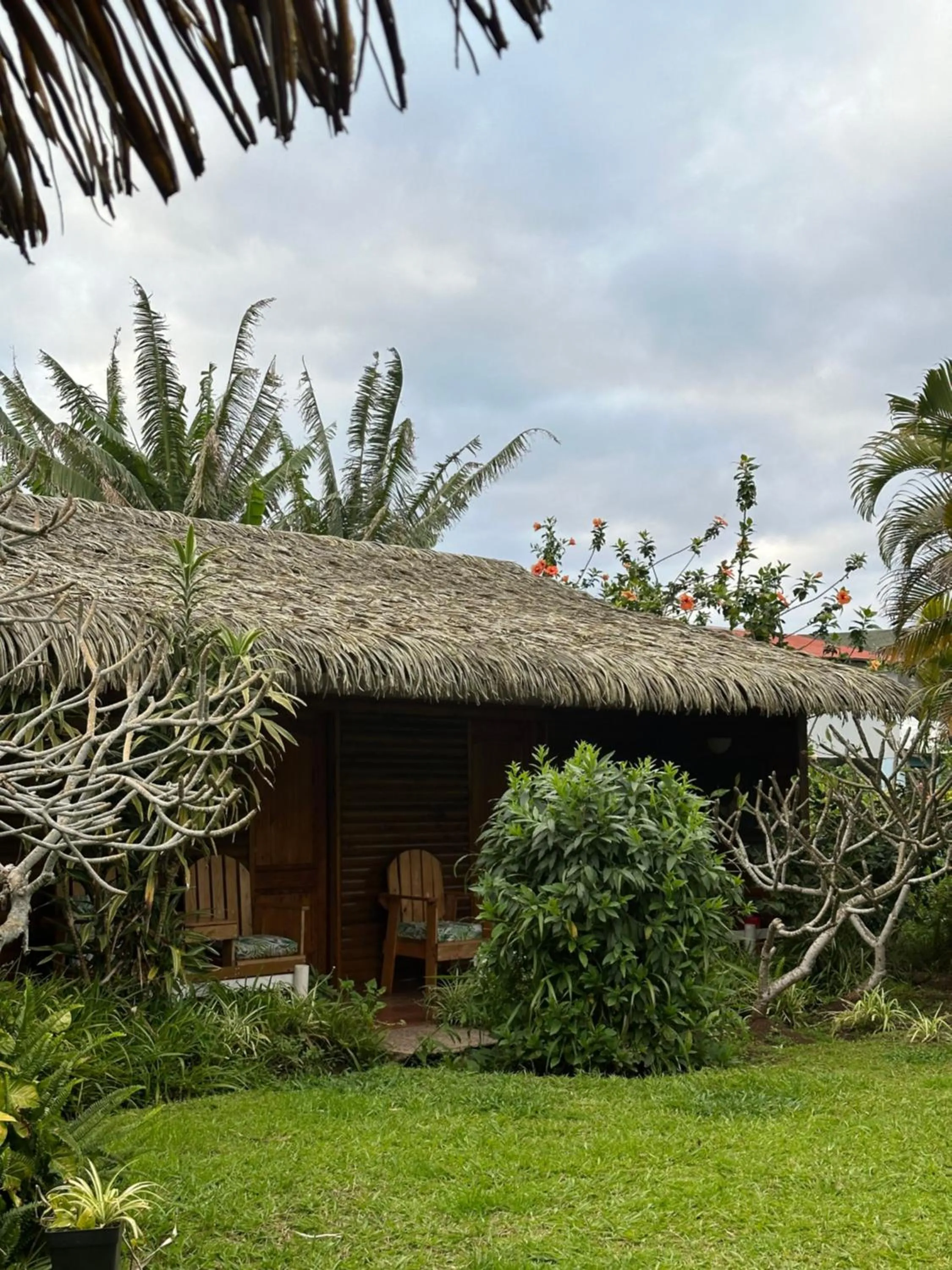 Garden in Hare Henua B&B