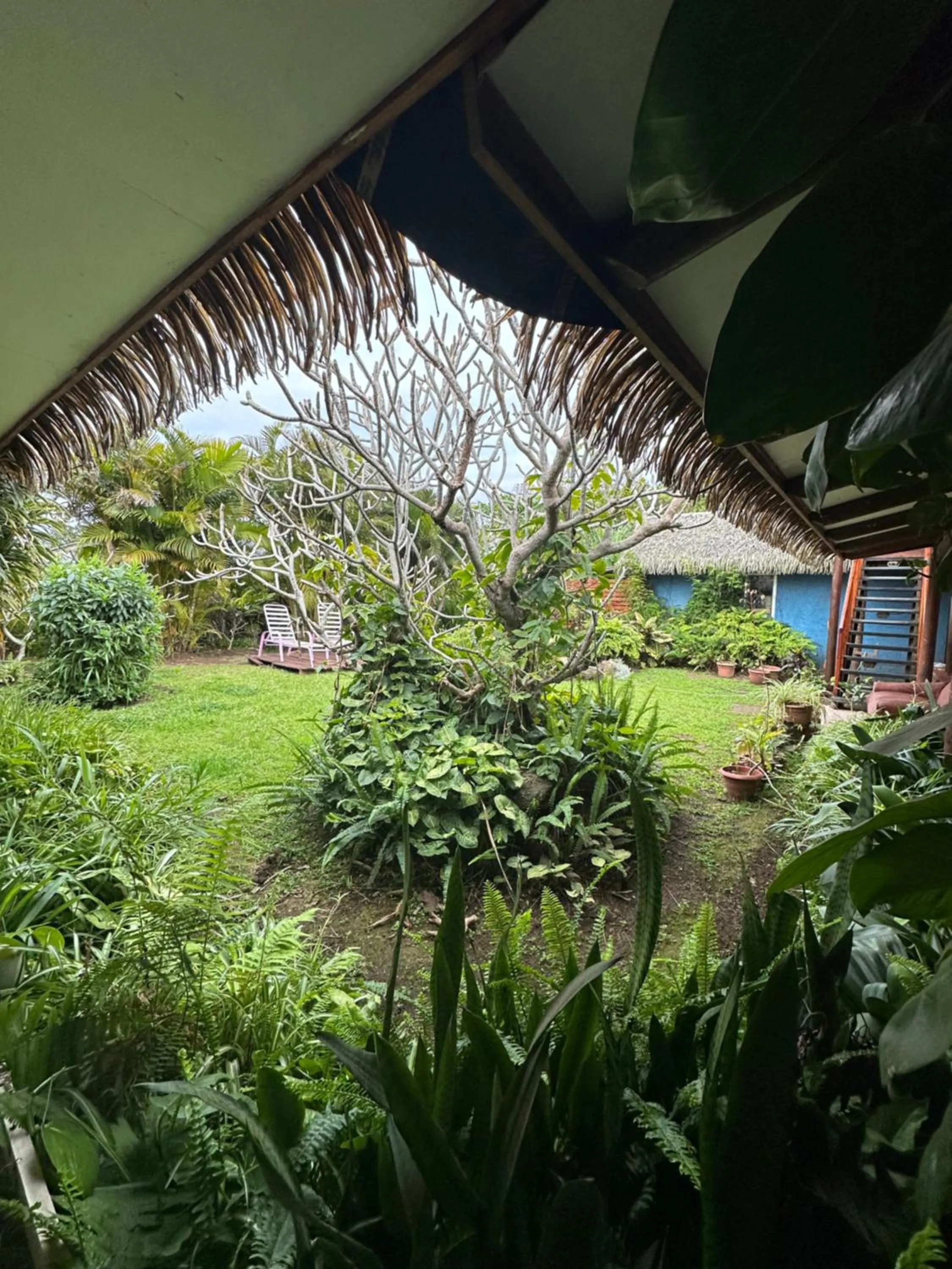 Garden in Hare Henua B&B