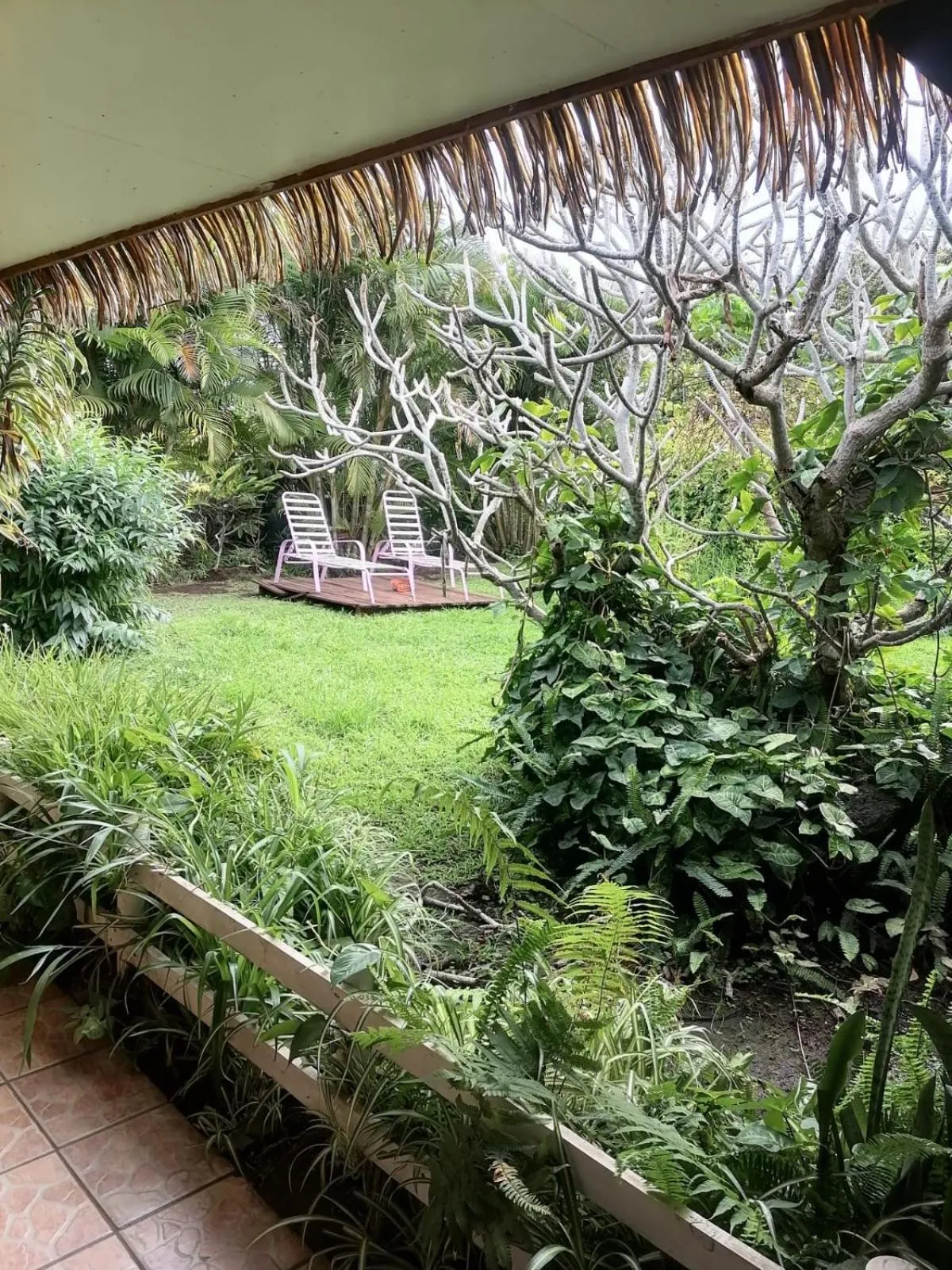 Garden in Hare Henua B&B